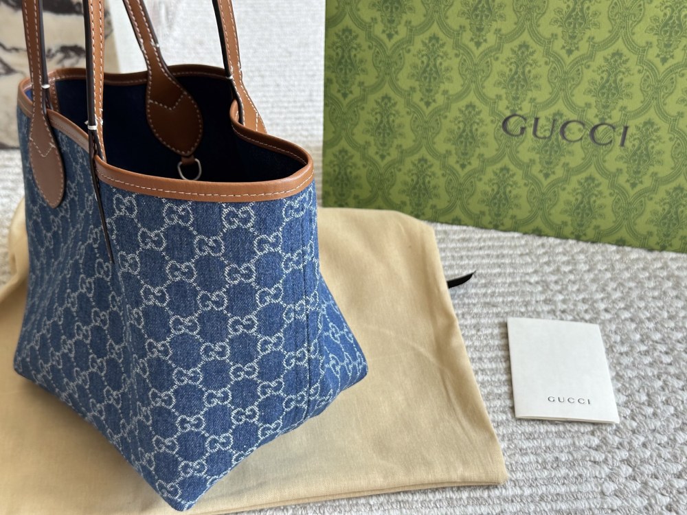 gucci bag 573