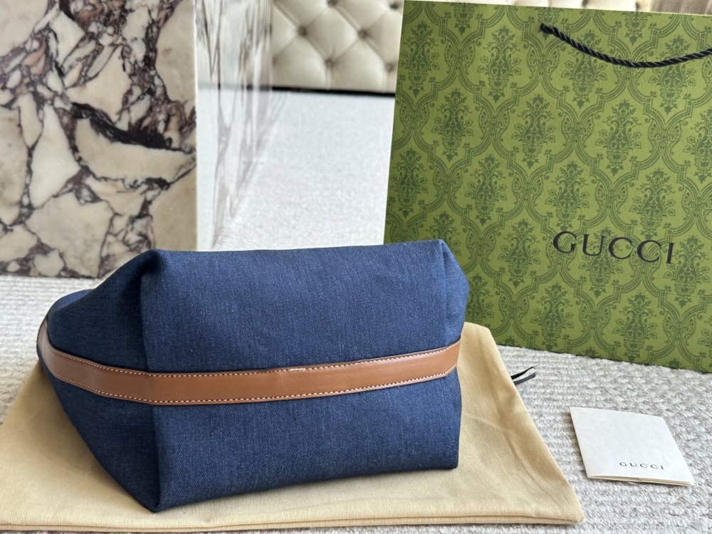 gucci bag 573