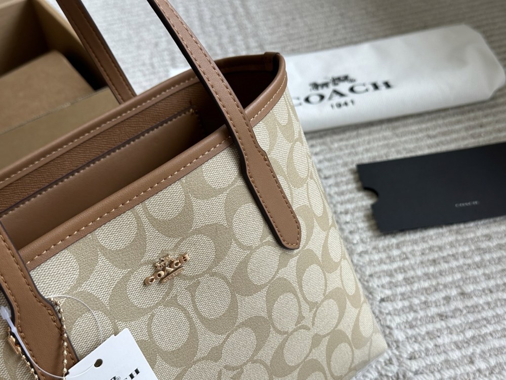 coach bag 009