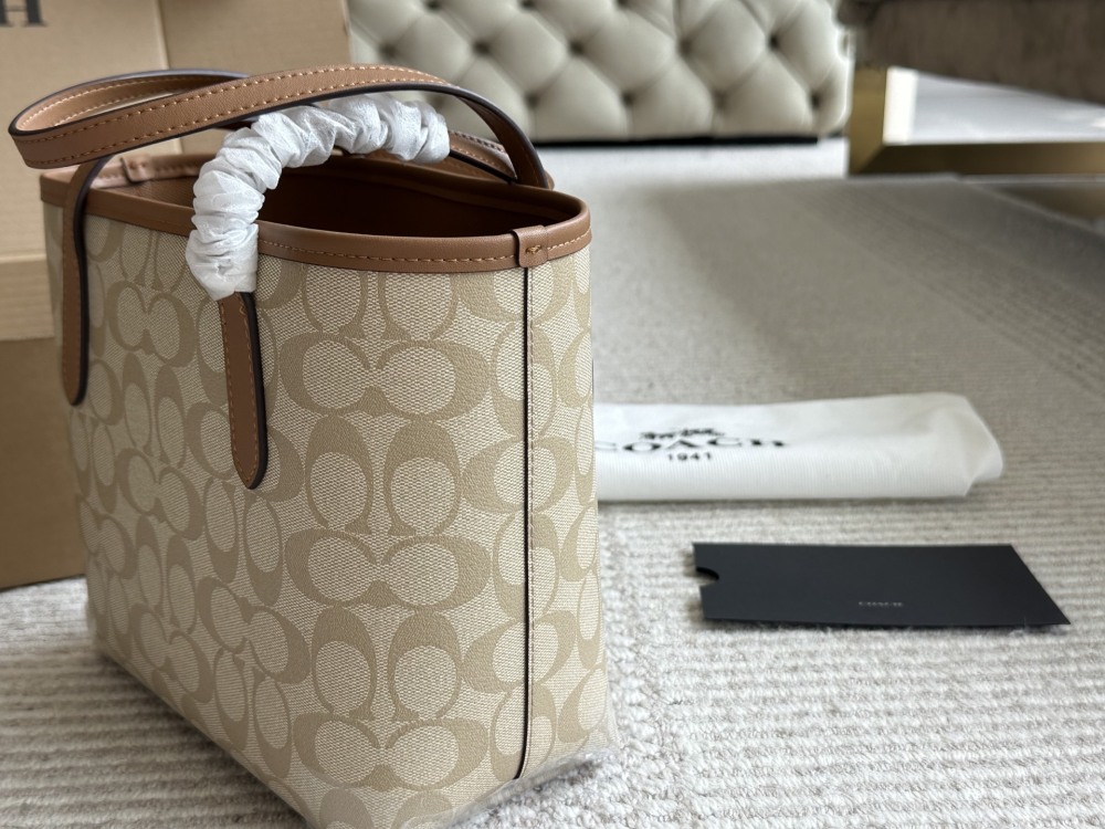 coach bag 009