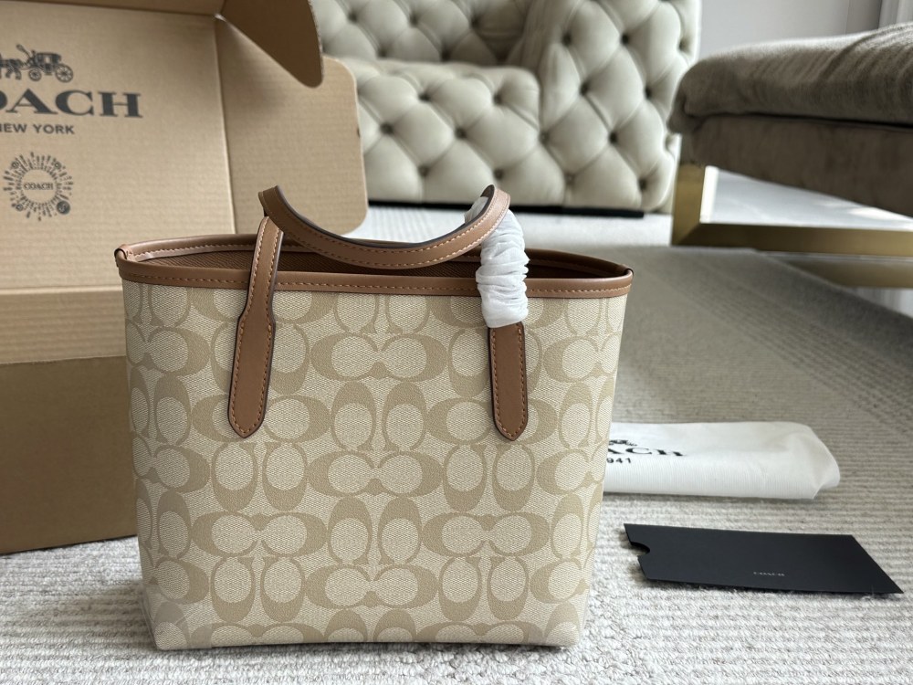 coach bag 009
