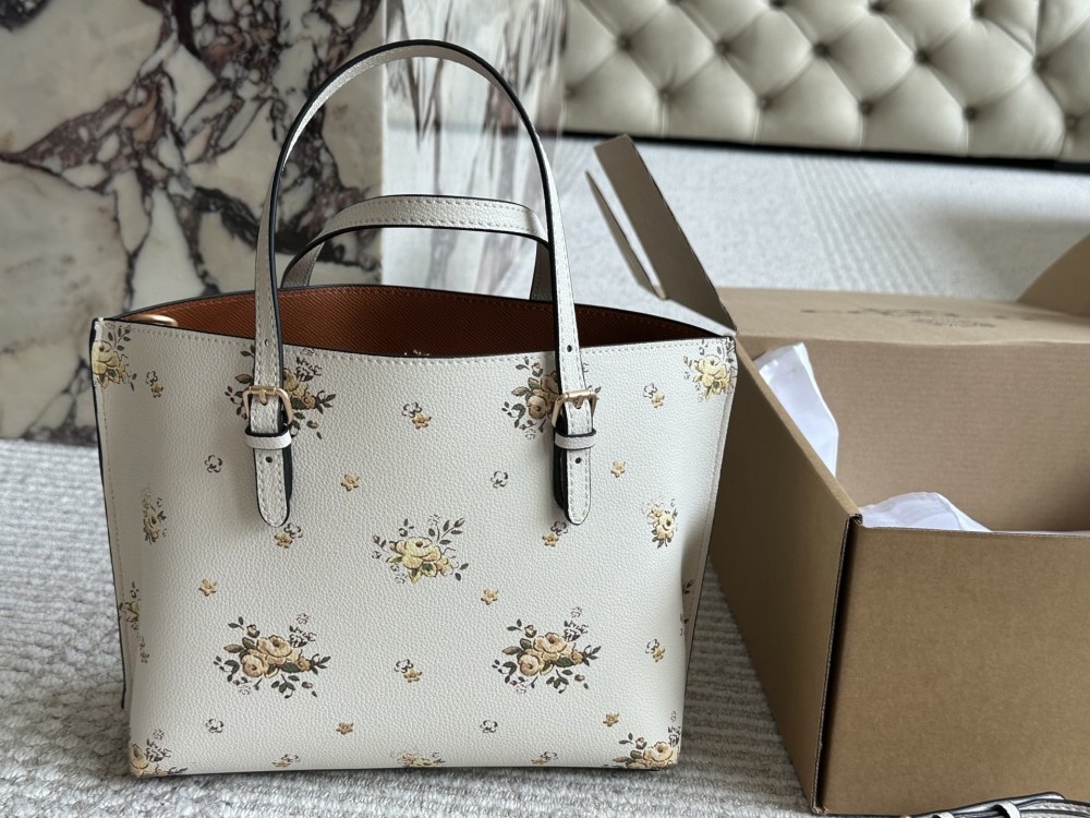 coach bag 056