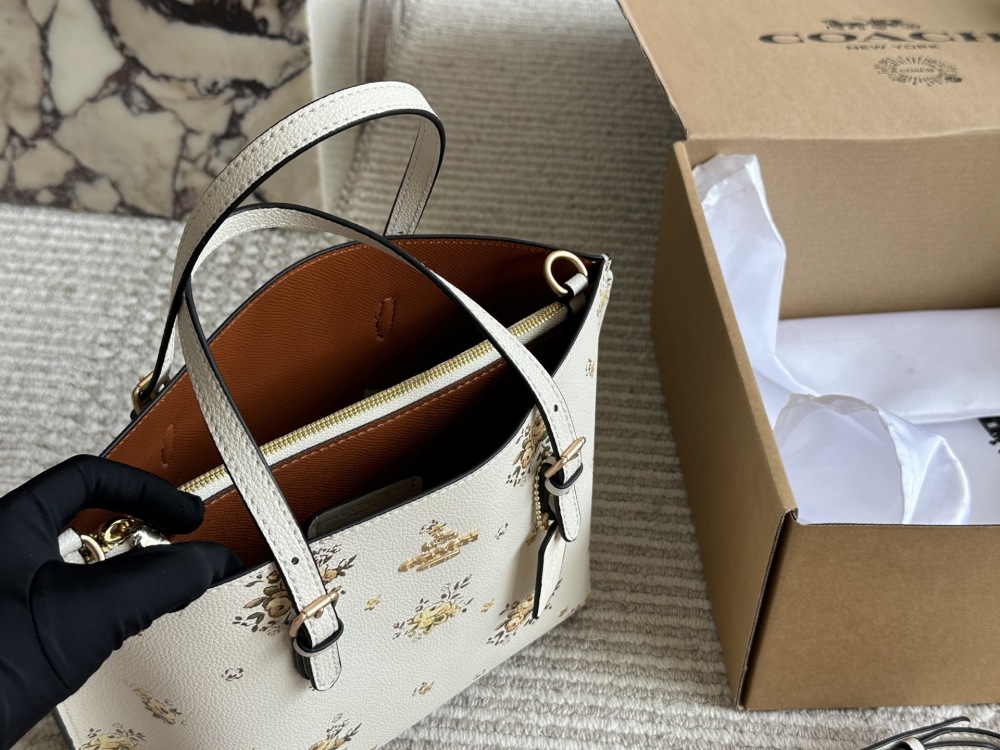 coach bag 056