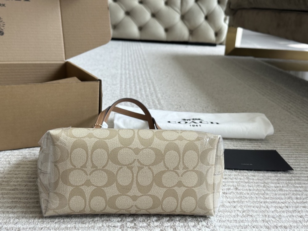coach bag 009