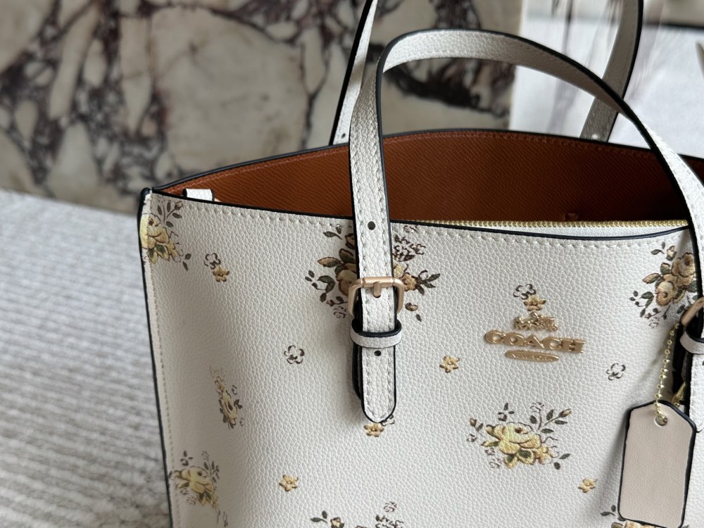 coach bag 056