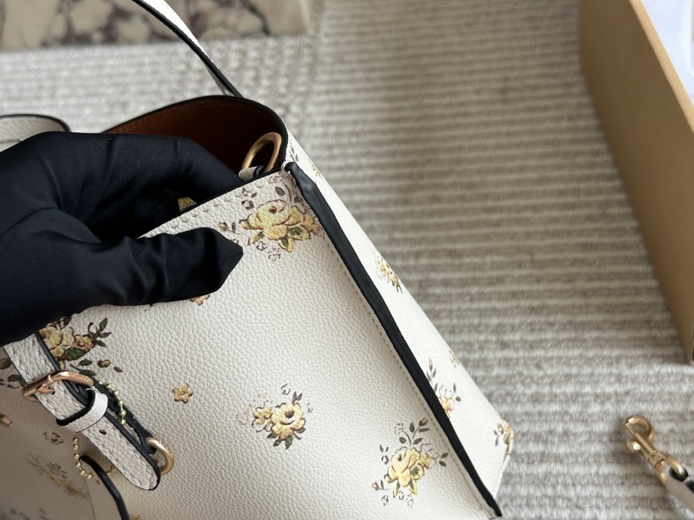 coach bag 056