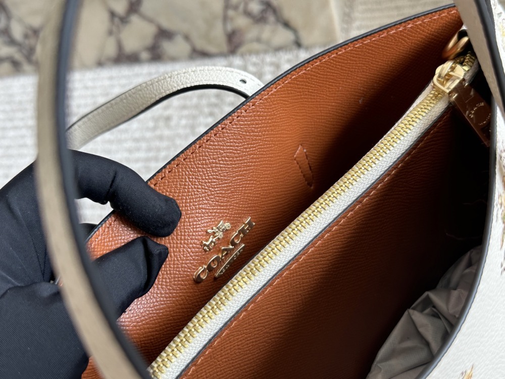 coach bag 056