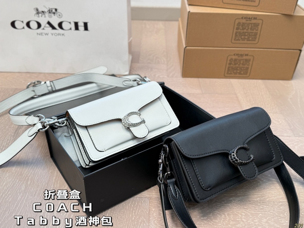 coach bag 171