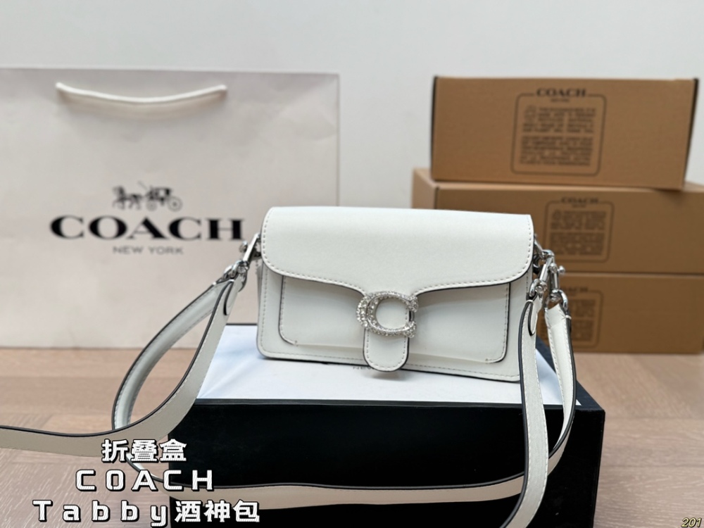 coach bag 171