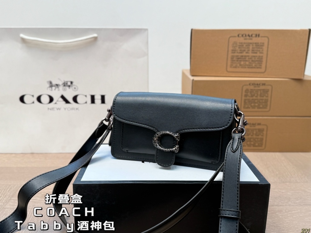 coach bag 171