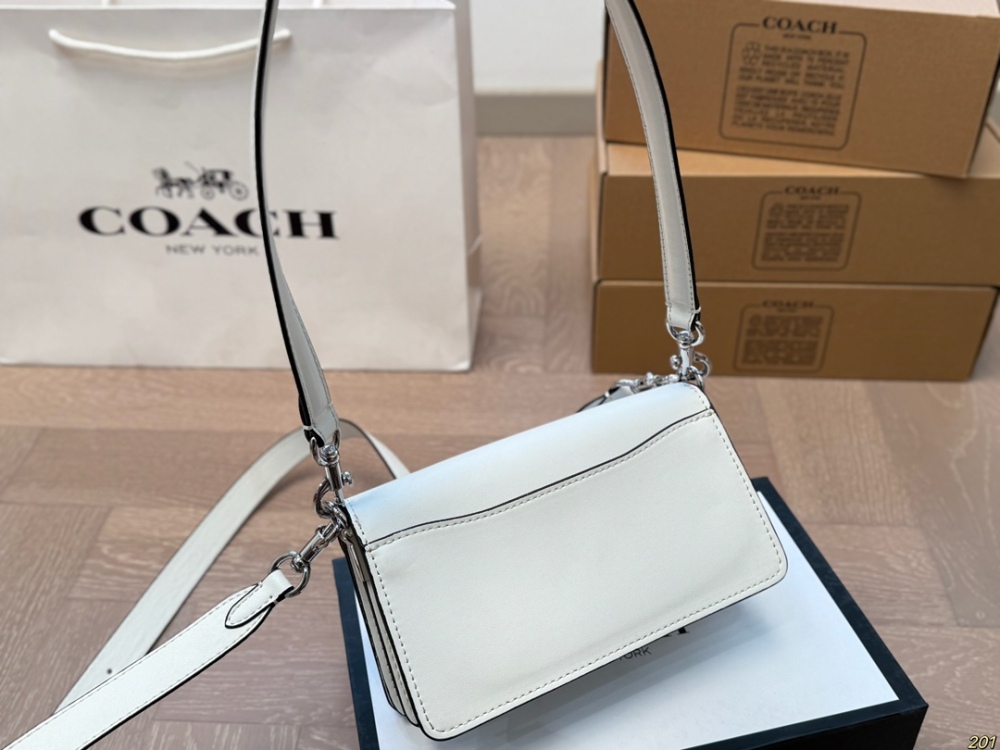 coach bag 171