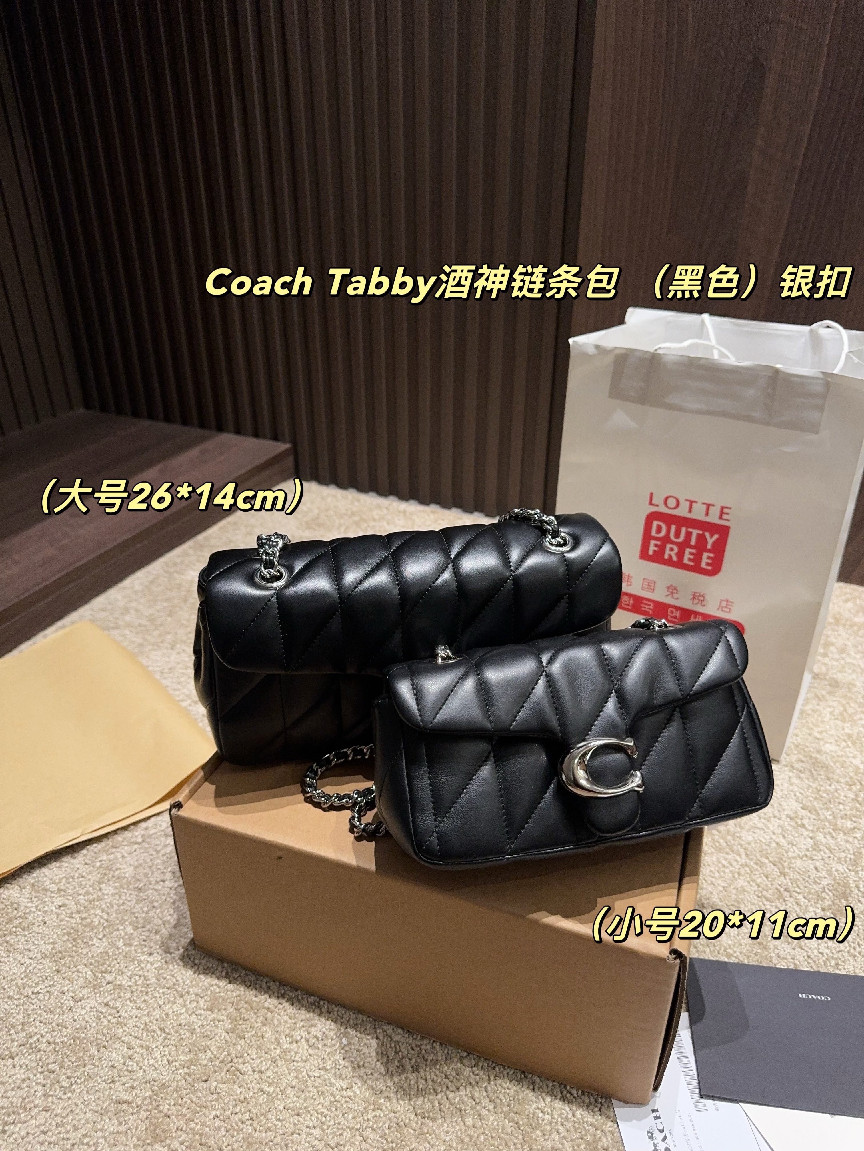 coach bag 185