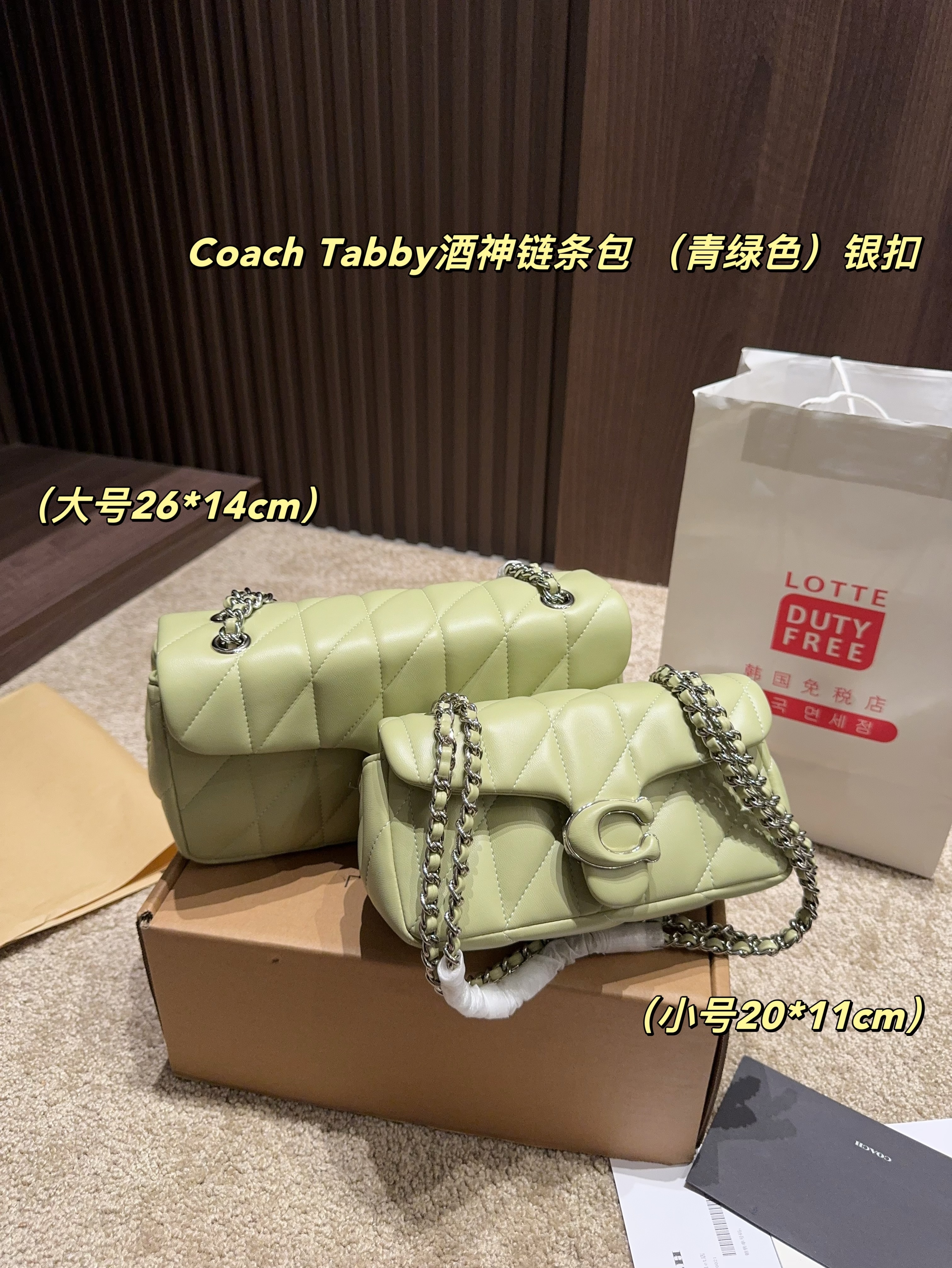 coach bag 185