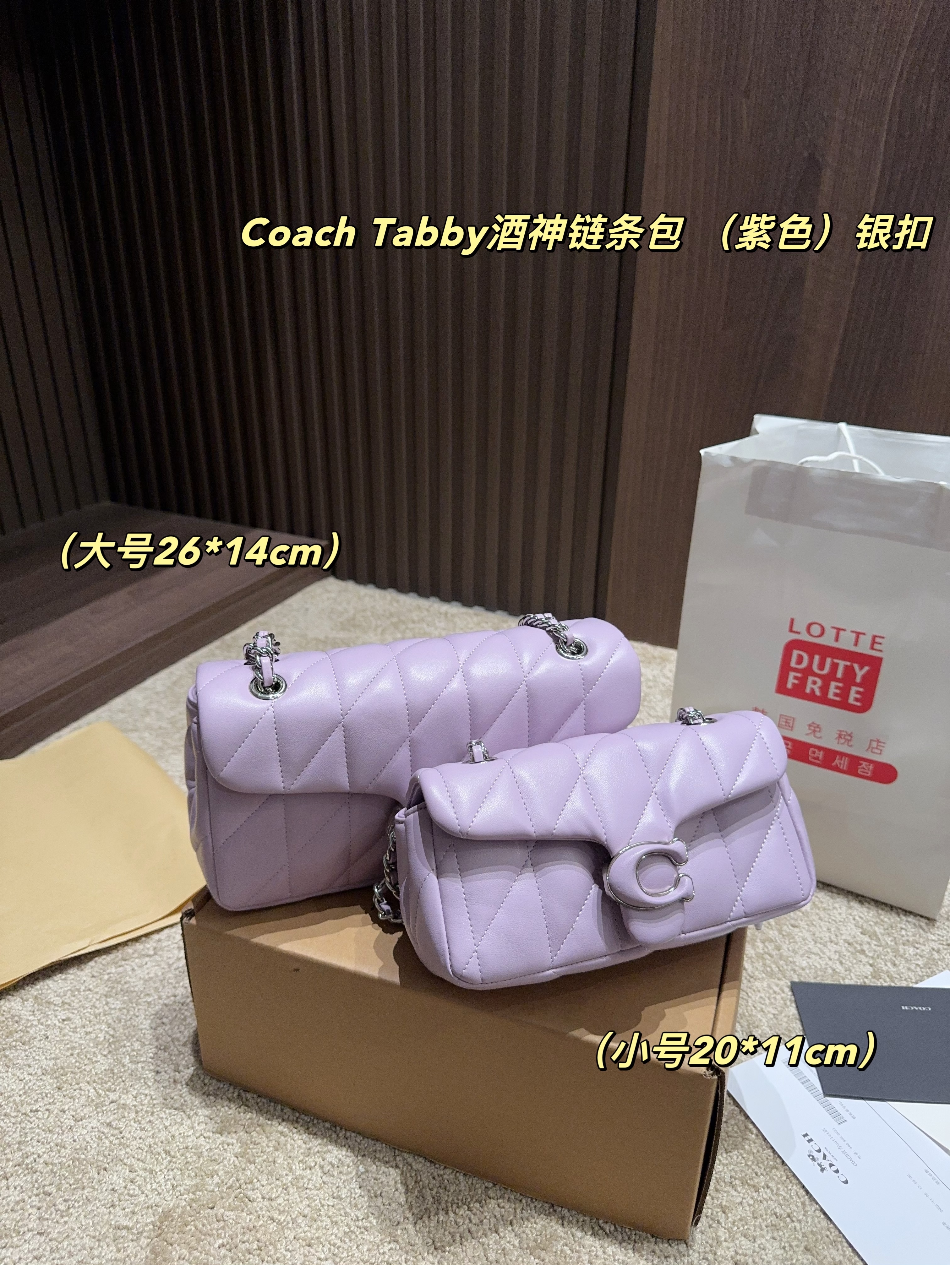 coach bag 185