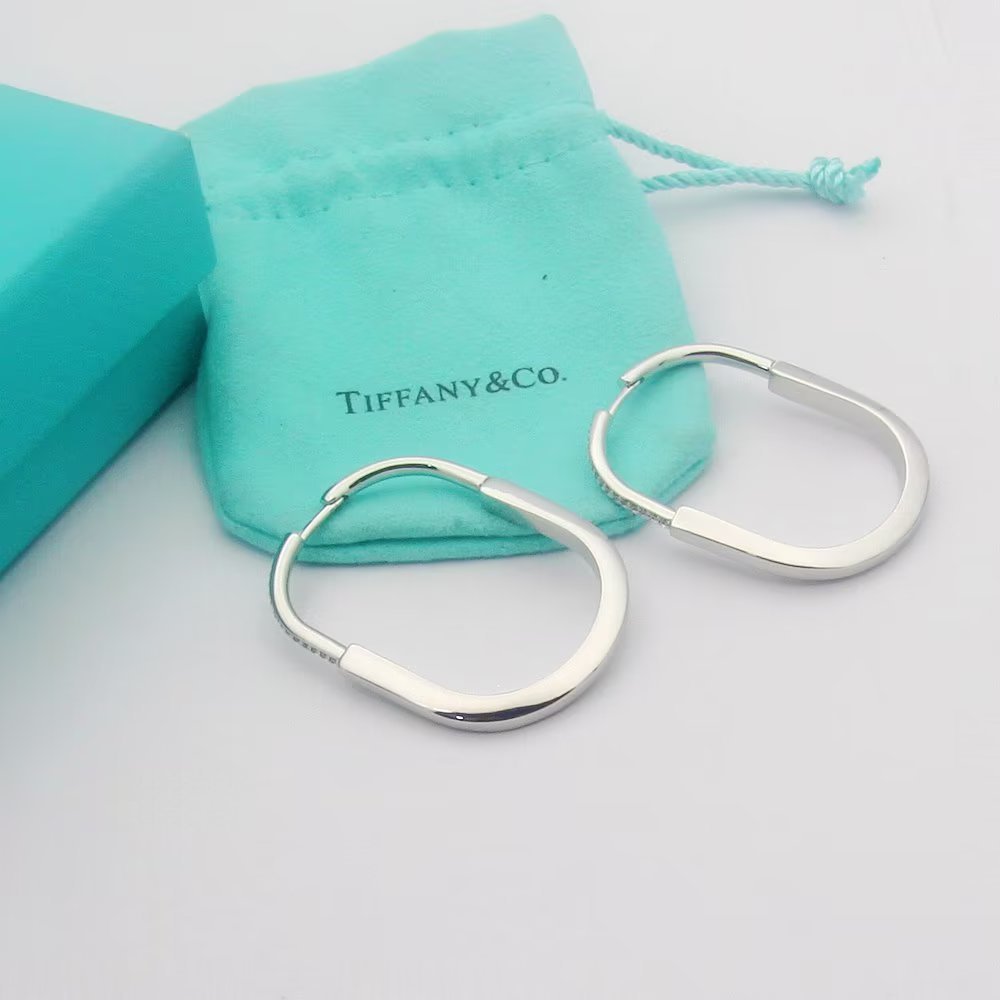 Tiffany Rose Gold Minimalist Earrings 234