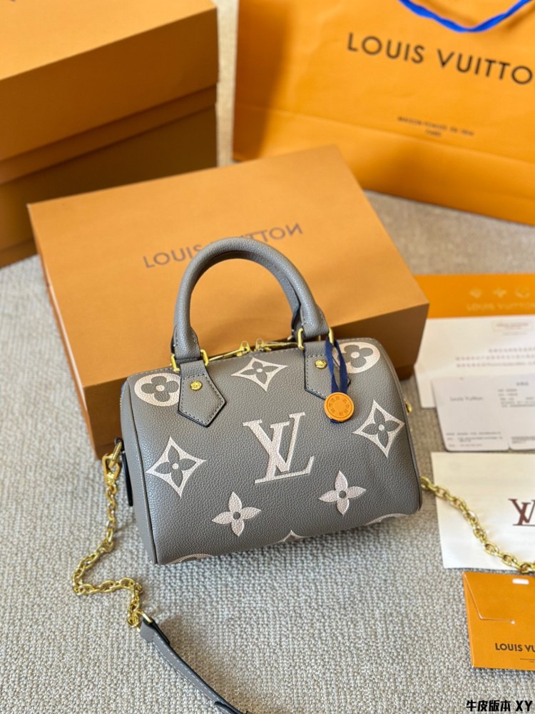 LV Bag Speedy leather Silver Logo-Accented Bag 20cm