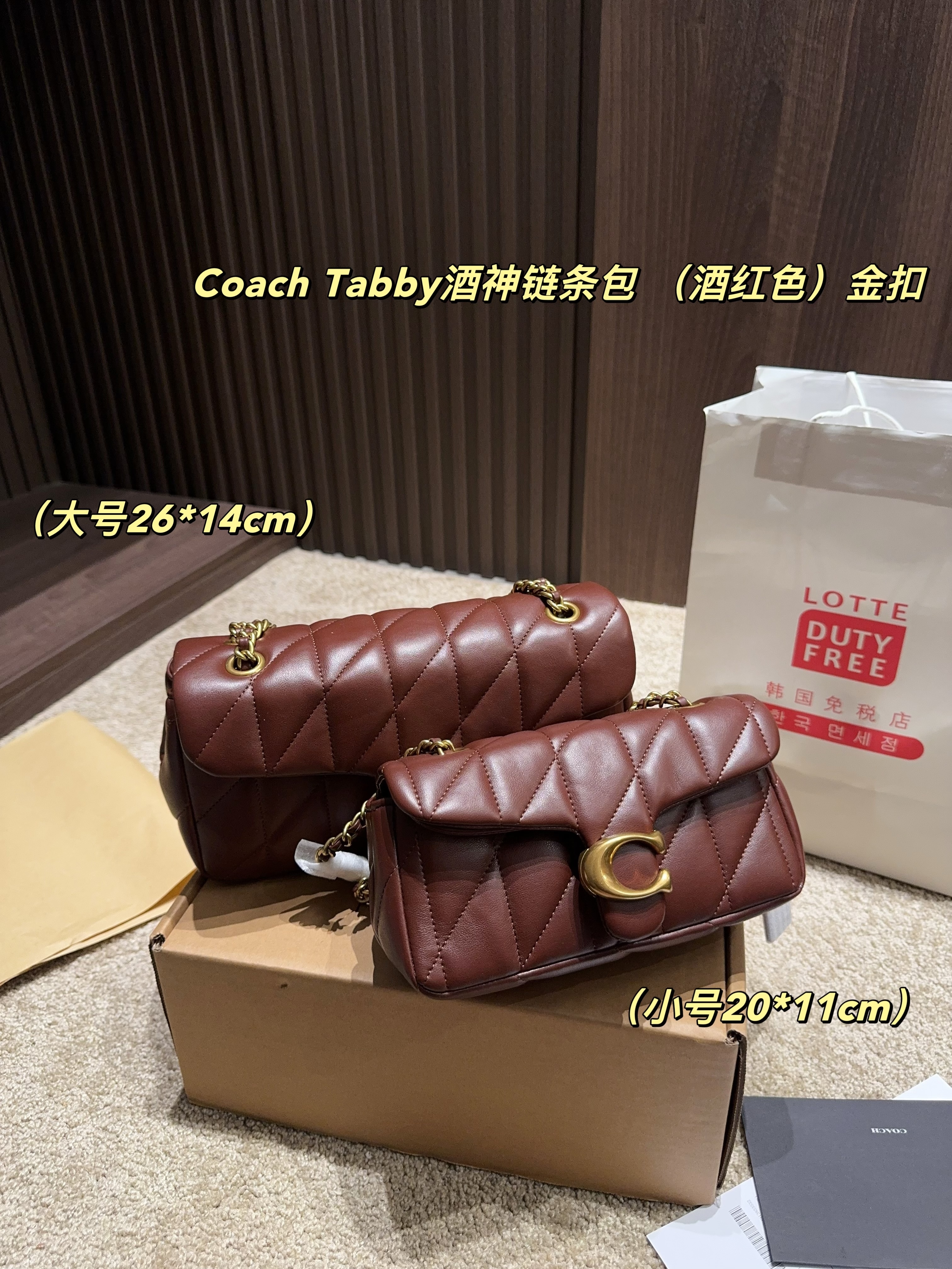 coach bag 185