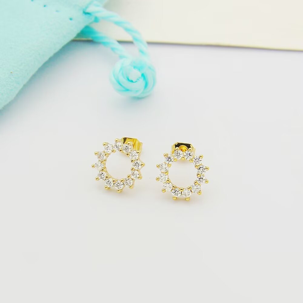 Tiffany Silver Logo-Accented Earrings 030