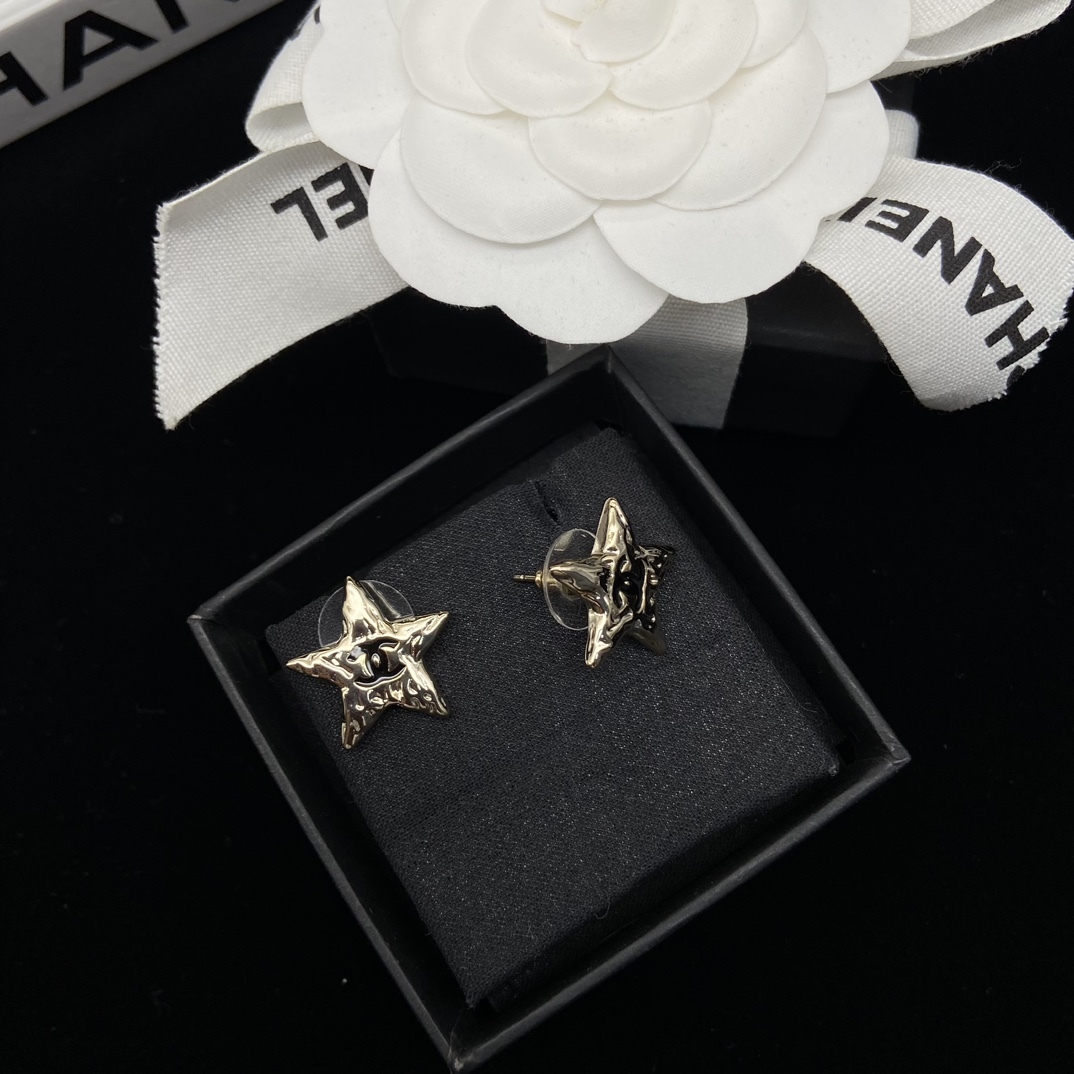 Chanel Silver Logo-Accented Earrings 015