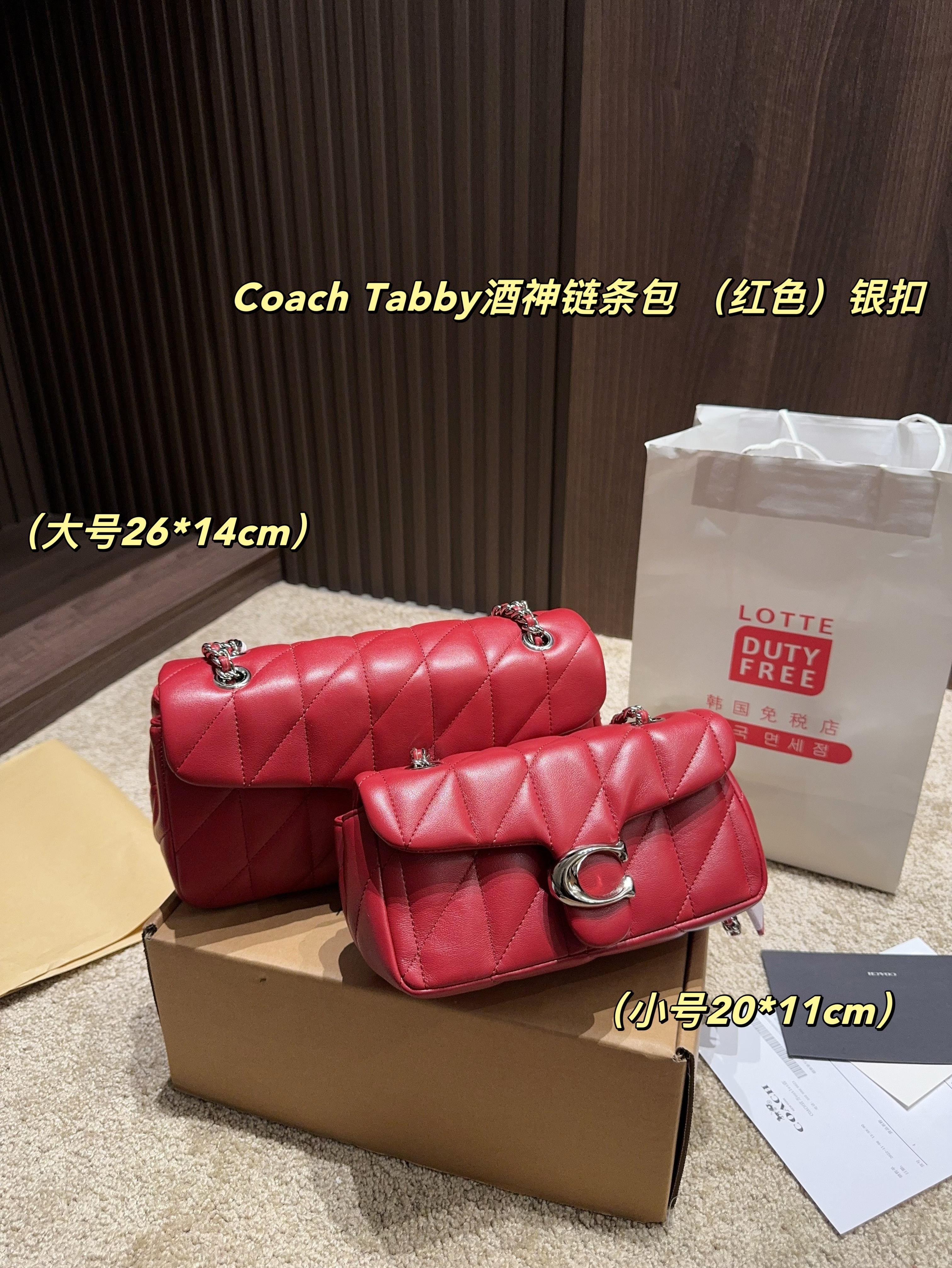 coach bag 185