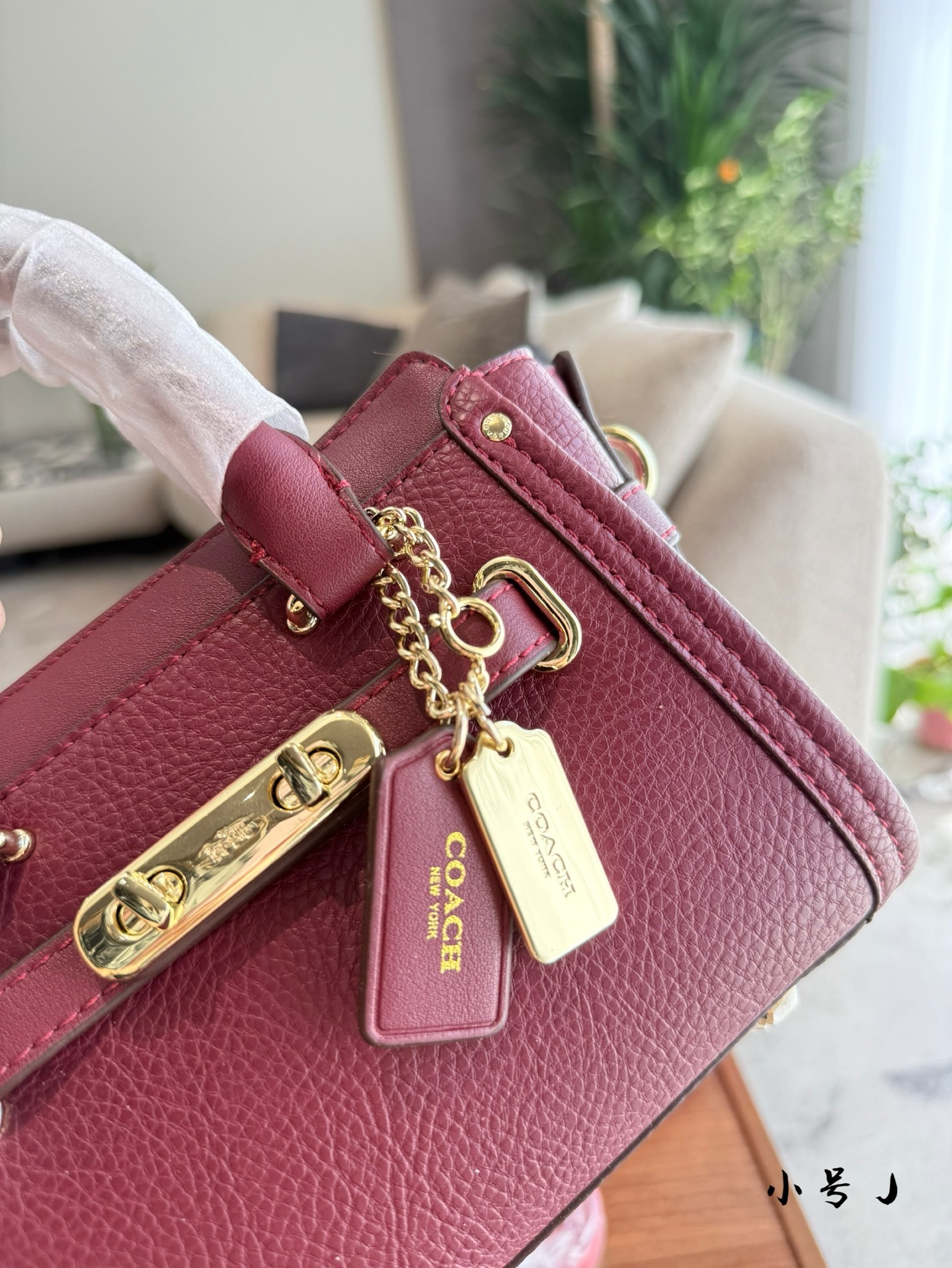 Coach Rose Gold Vintage-Inspired Bag 024