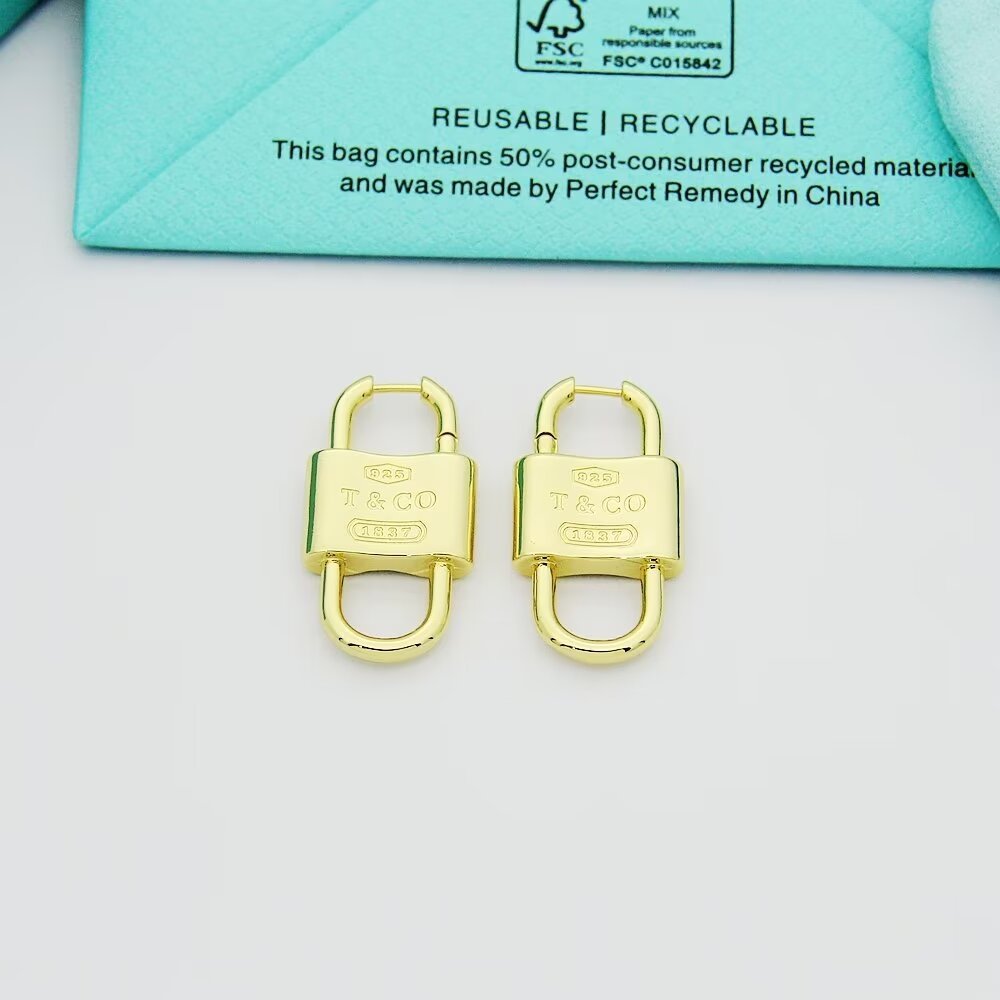Tiffany Silver Logo-Accented Earrings 149
