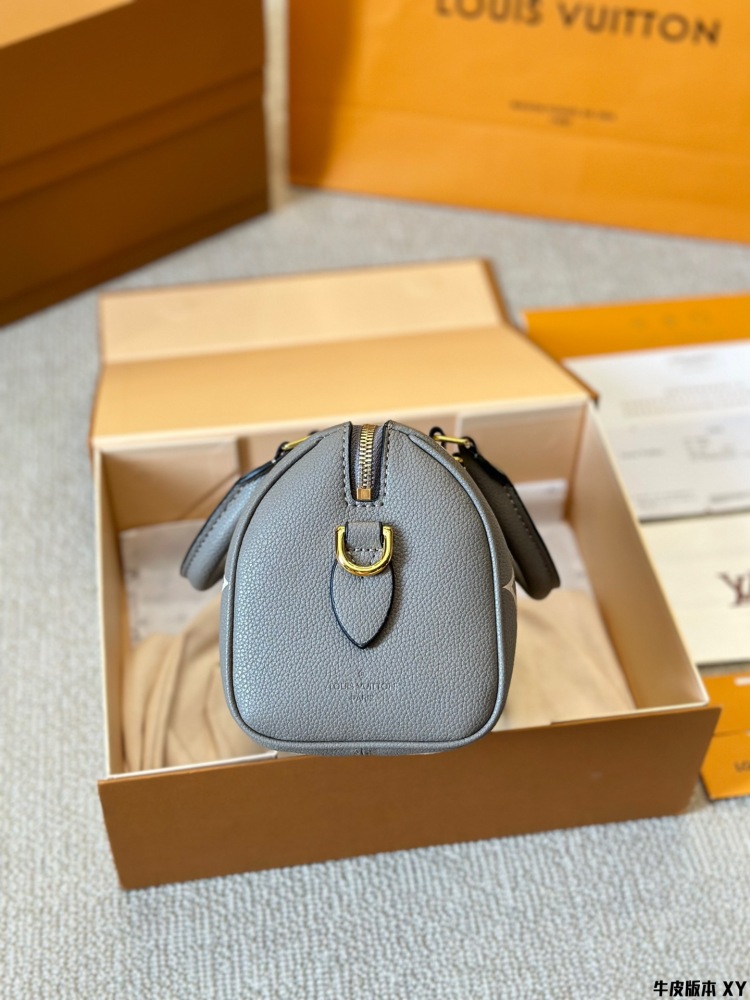 LV Bag Speedy leather Silver Logo-Accented Bag 20cm