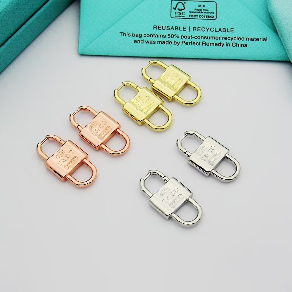 Tiffany Silver Logo-Accented Earrings 149