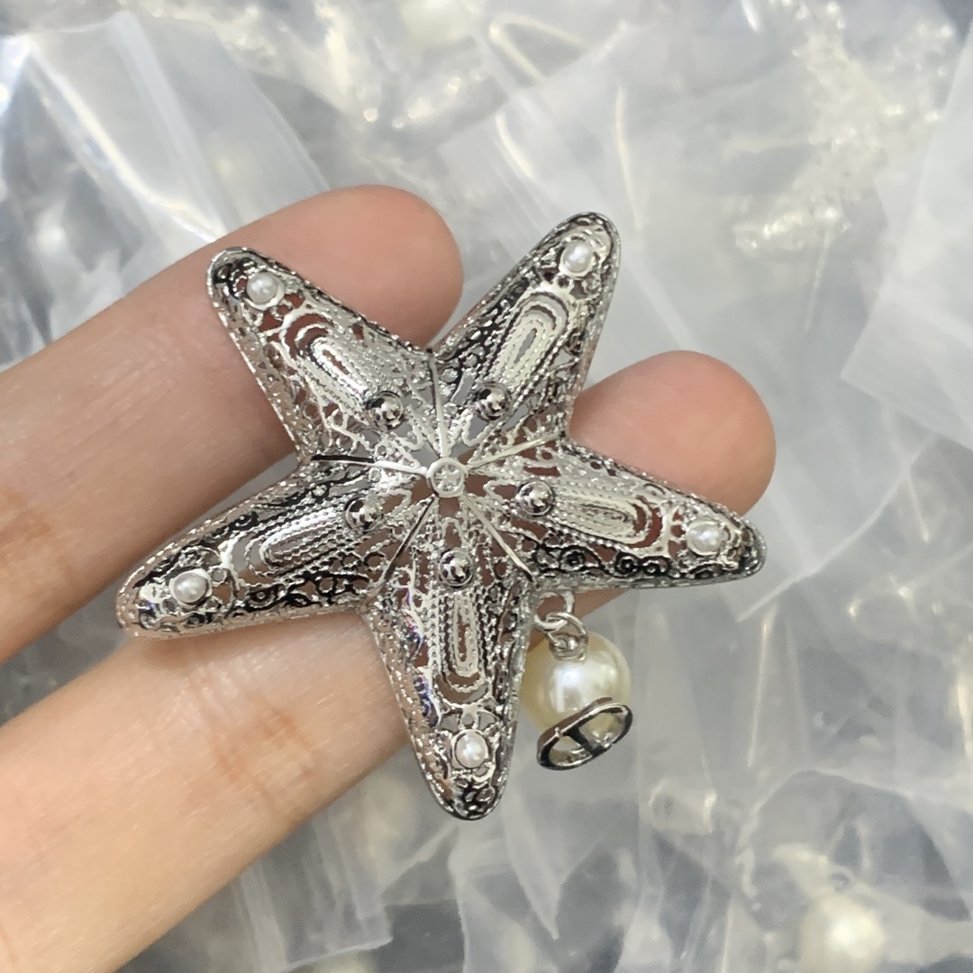 Dior Silver Textured Brooch 672