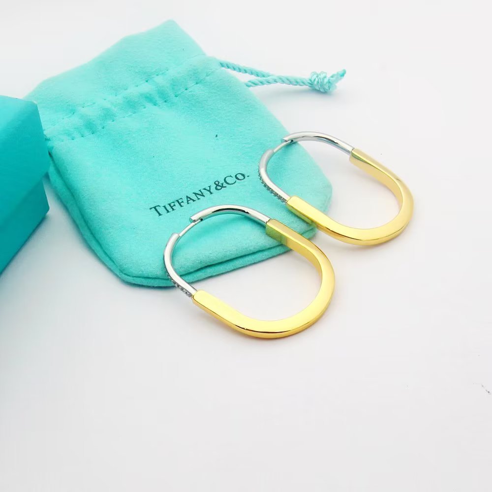 Tiffany Rose Gold Minimalist Earrings 234