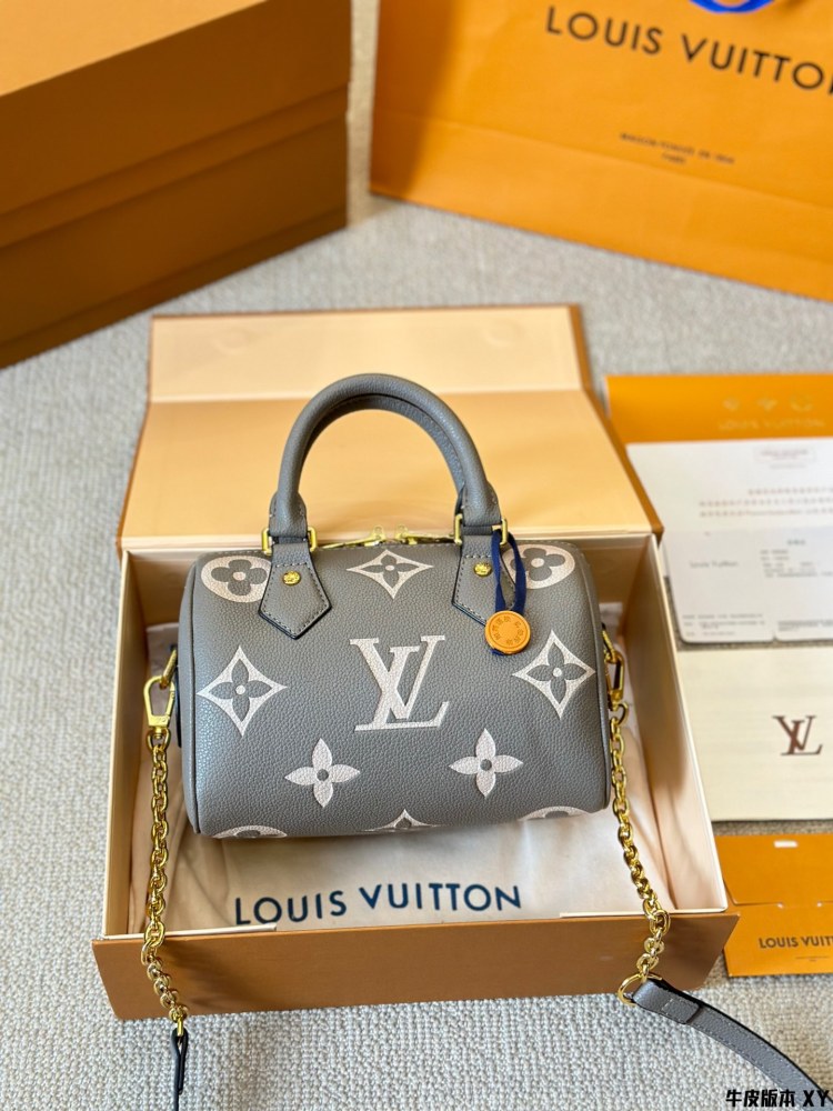 LV Bag Speedy leather Silver Logo-Accented Bag 20cm