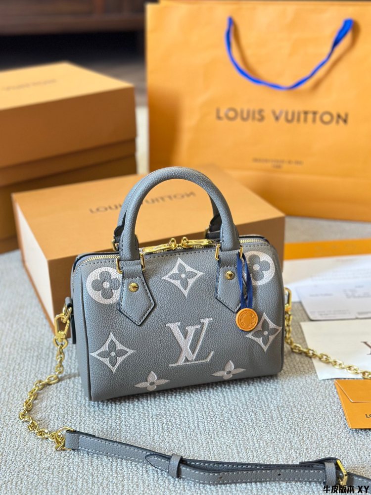 LV Bag Speedy leather Silver Logo-Accented Bag 20cm