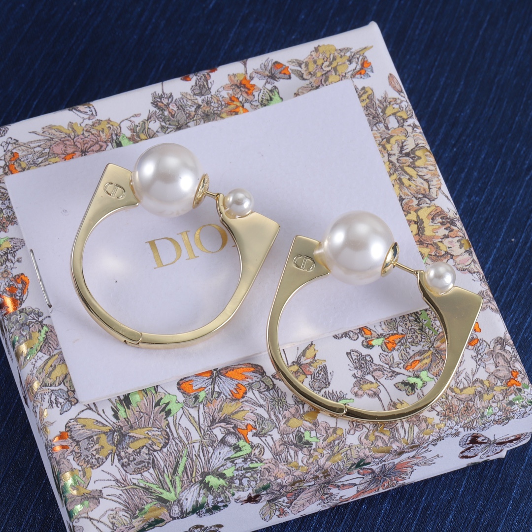 Dior Silver Vintage-Inspired Earrings 042