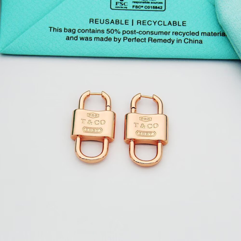 Tiffany Silver Logo-Accented Earrings 149