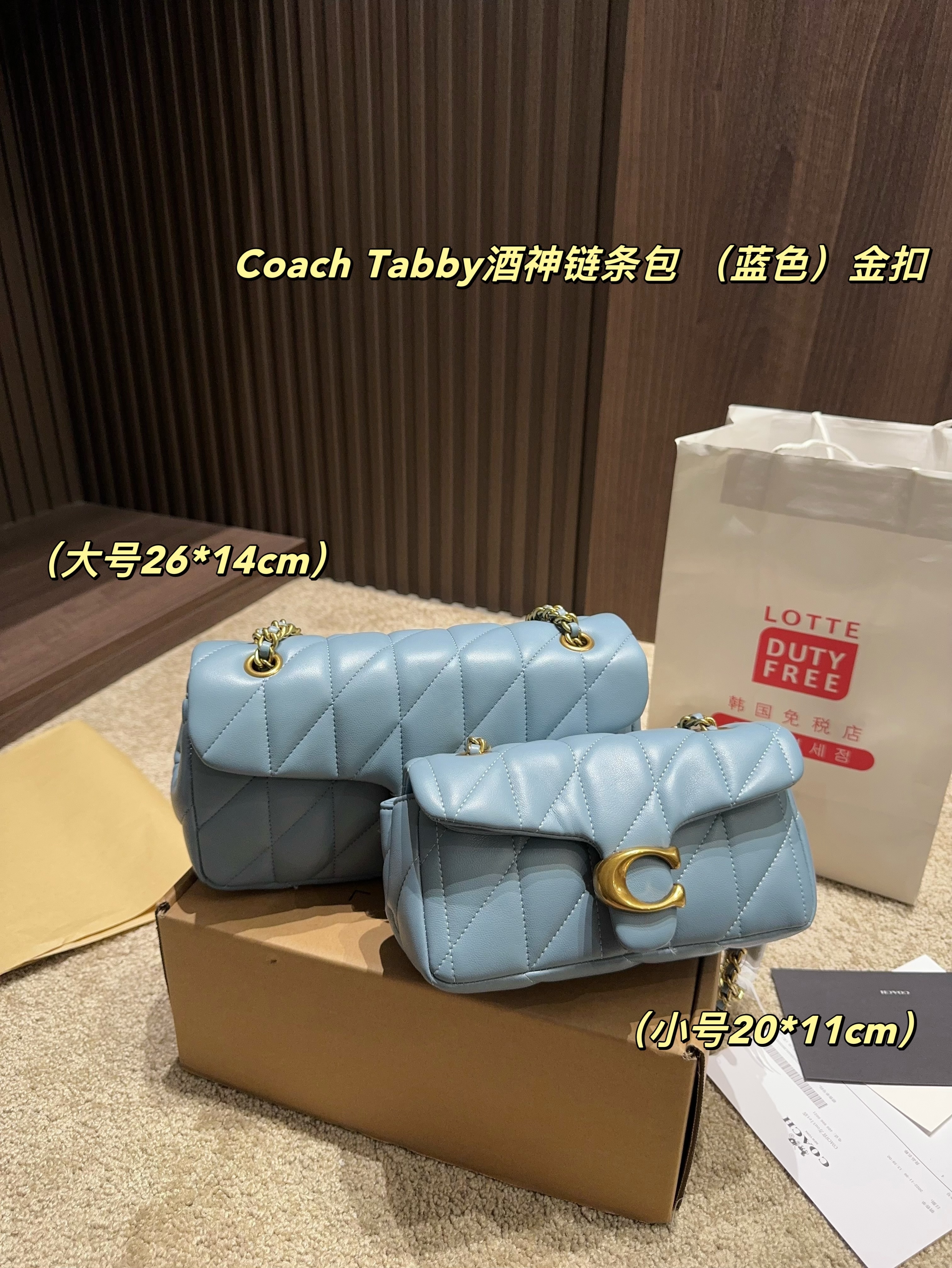 coach bag 185