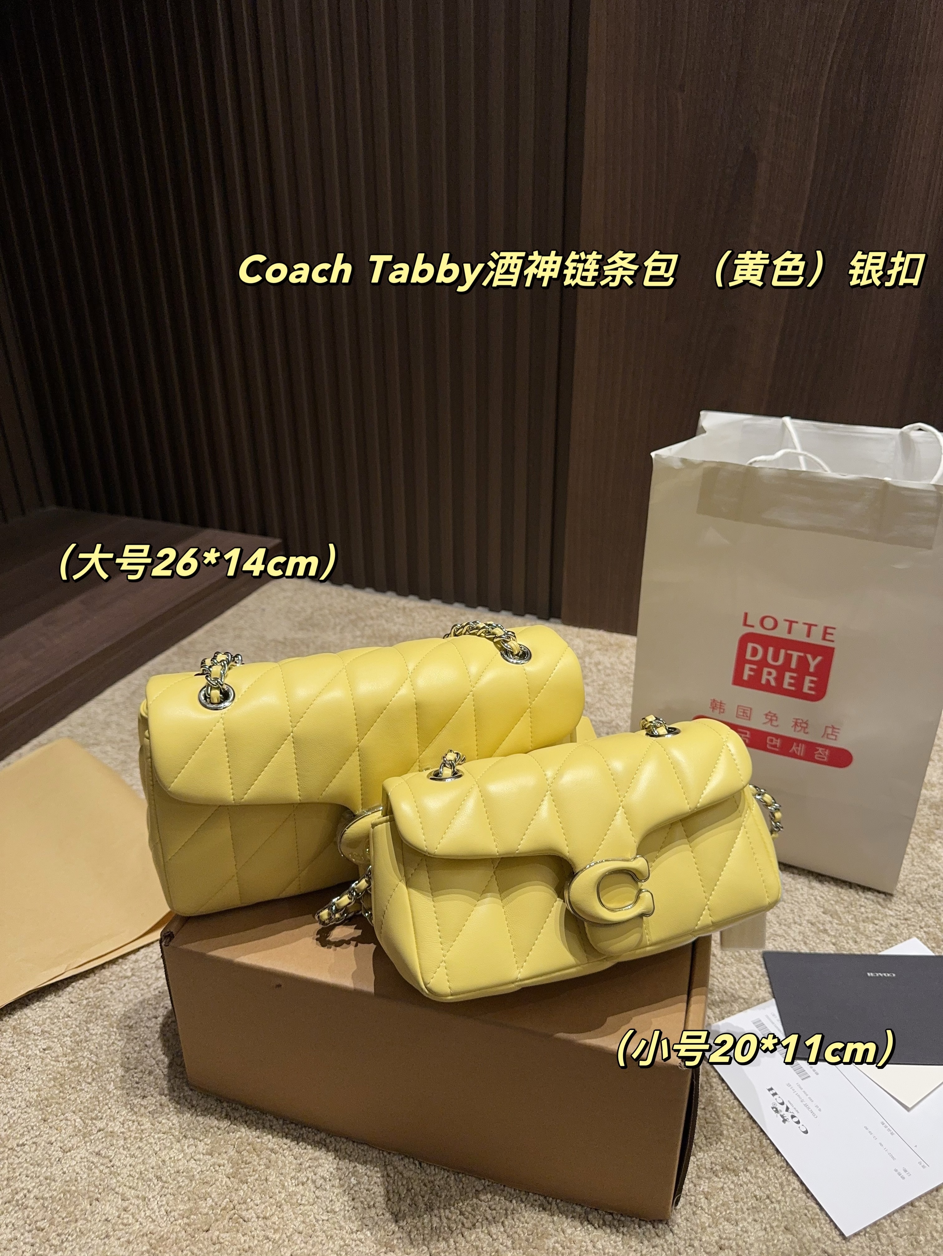 coach bag 185