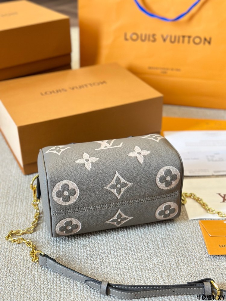 LV Bag Speedy leather Silver Logo-Accented Bag 20cm