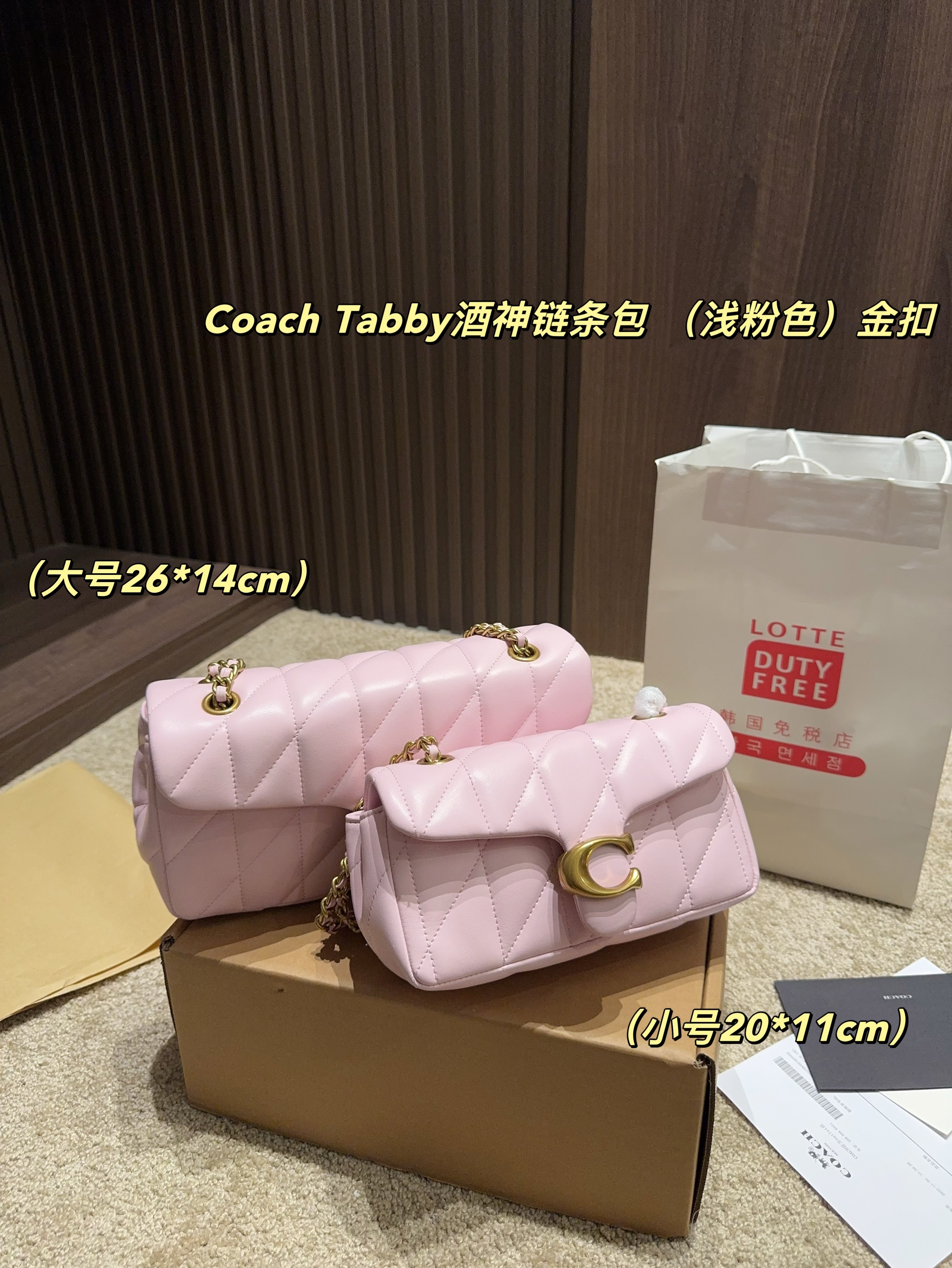 coach bag 185
