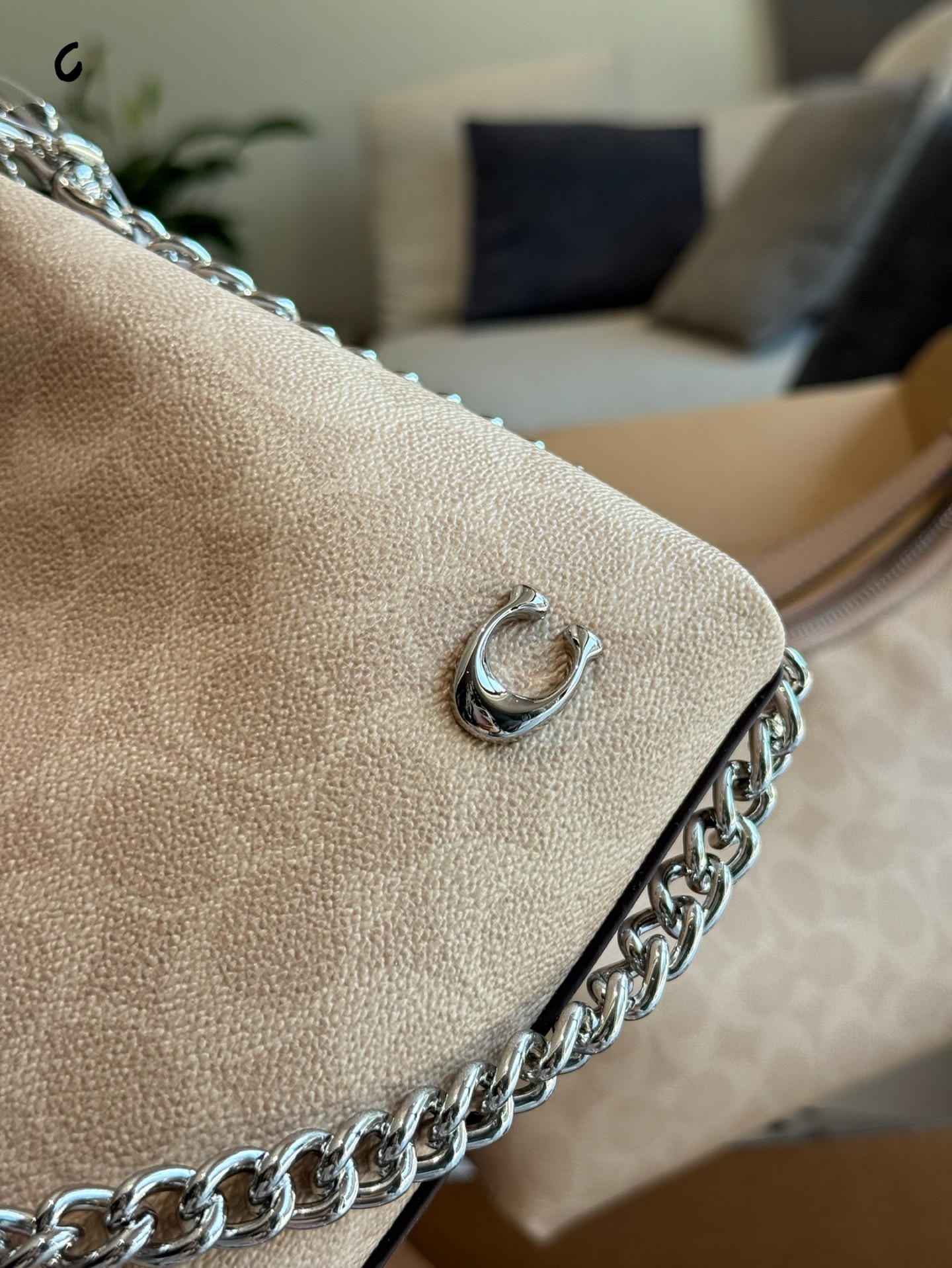 Coach Beige Vintage-Inspired Bag 034