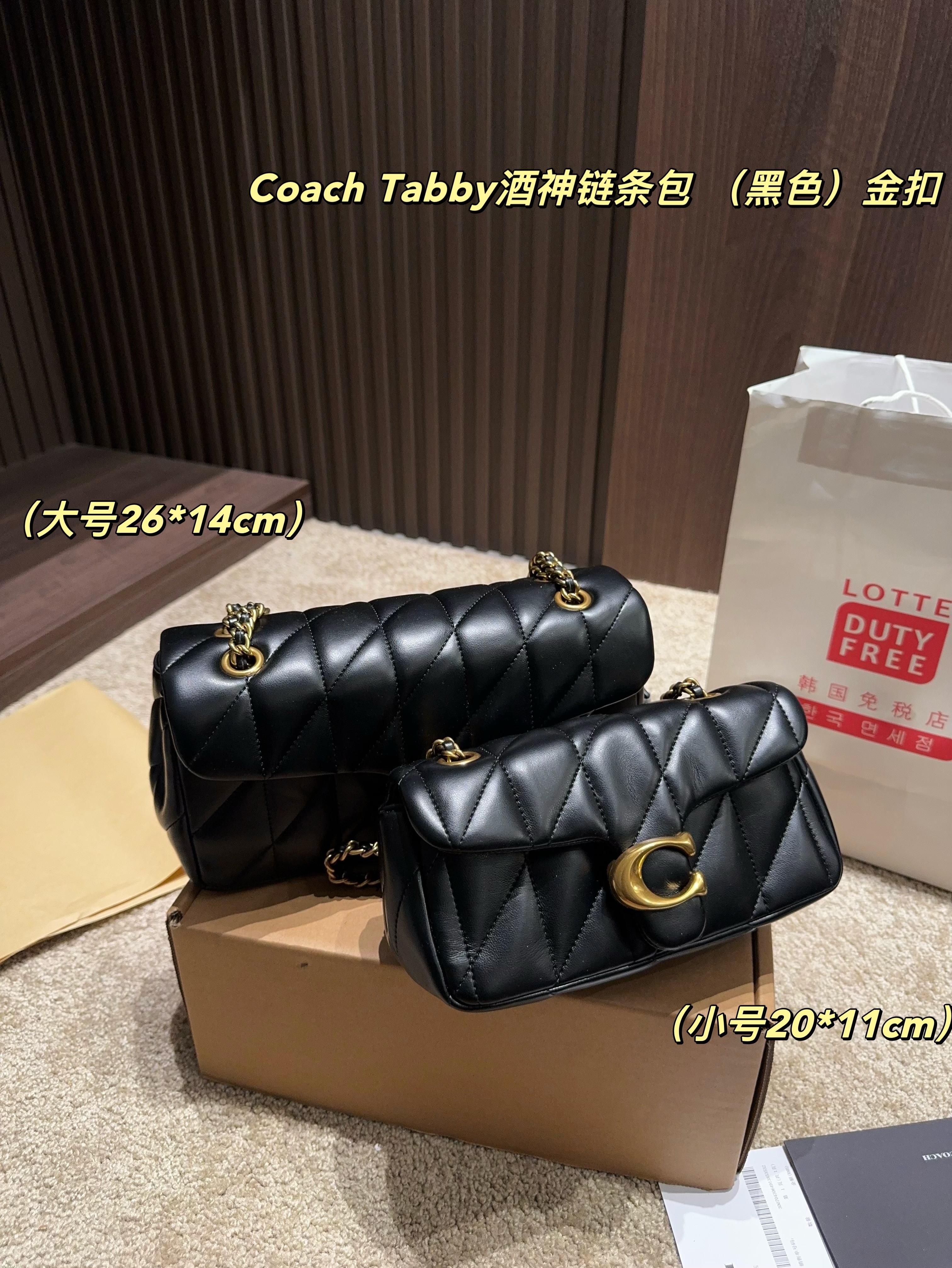 coach bag 185