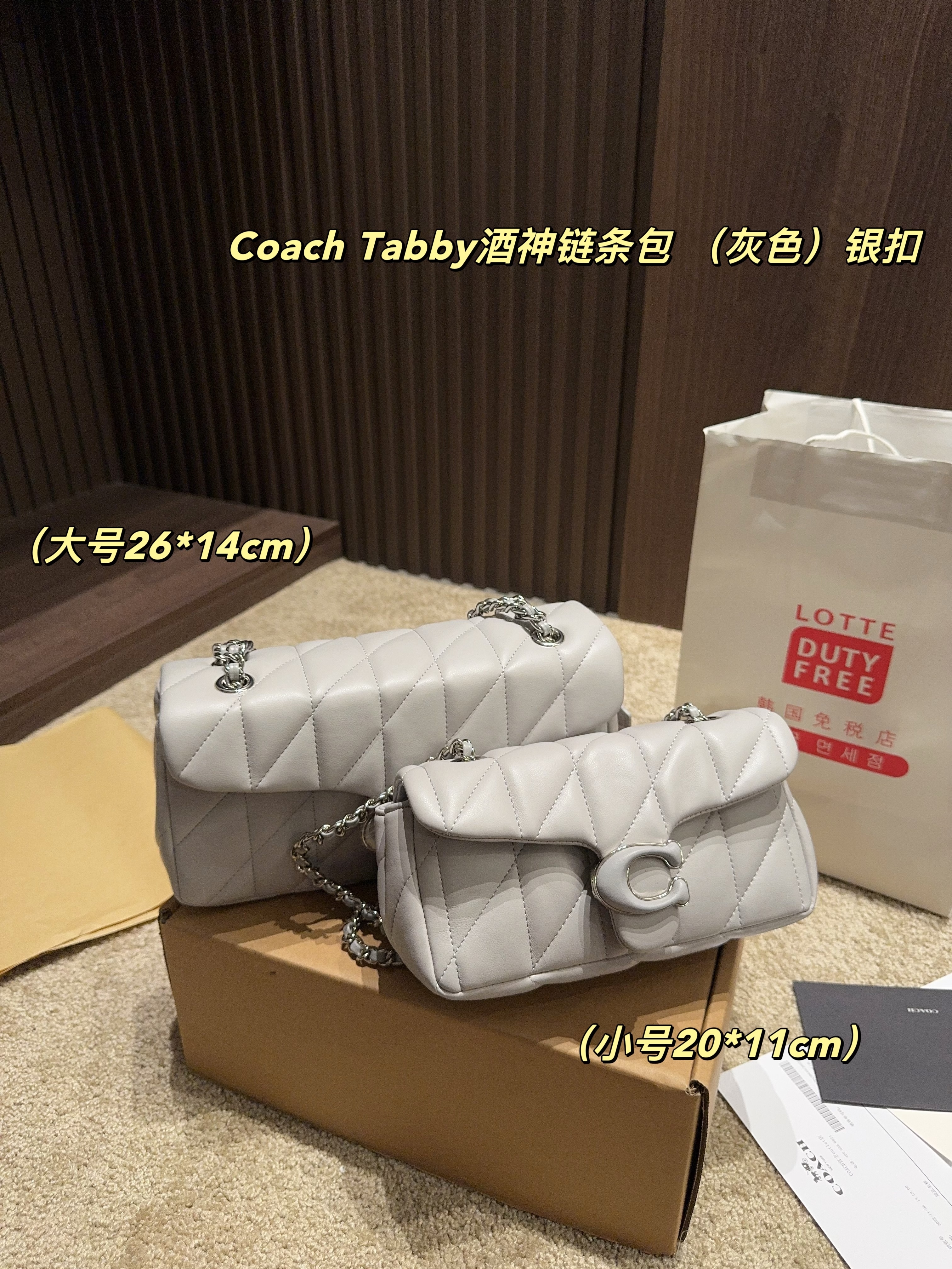 coach bag 185