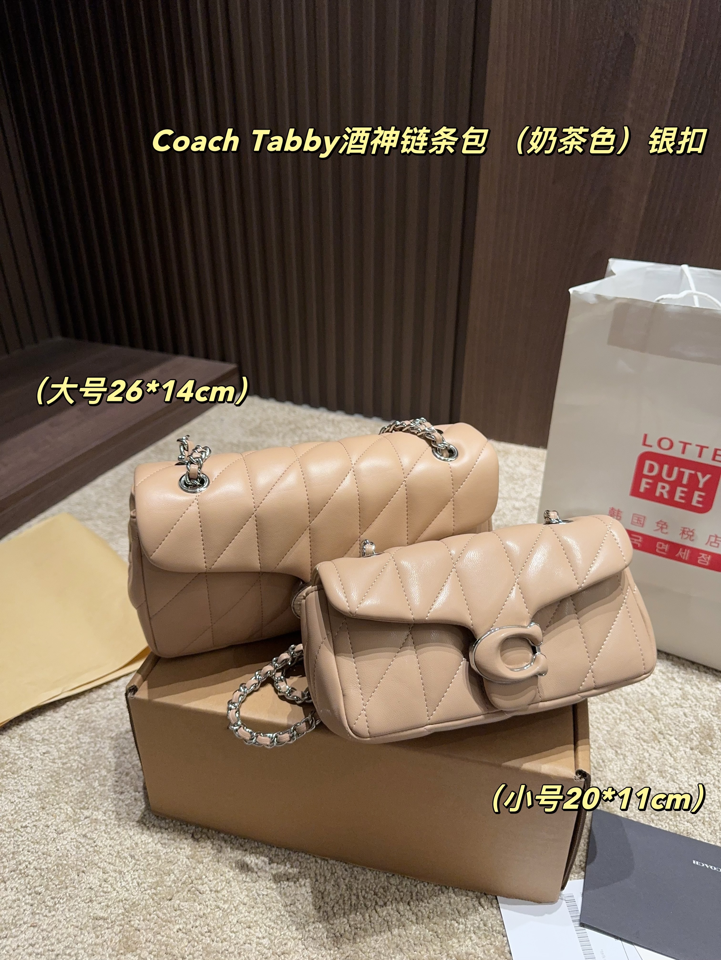 coach bag 185