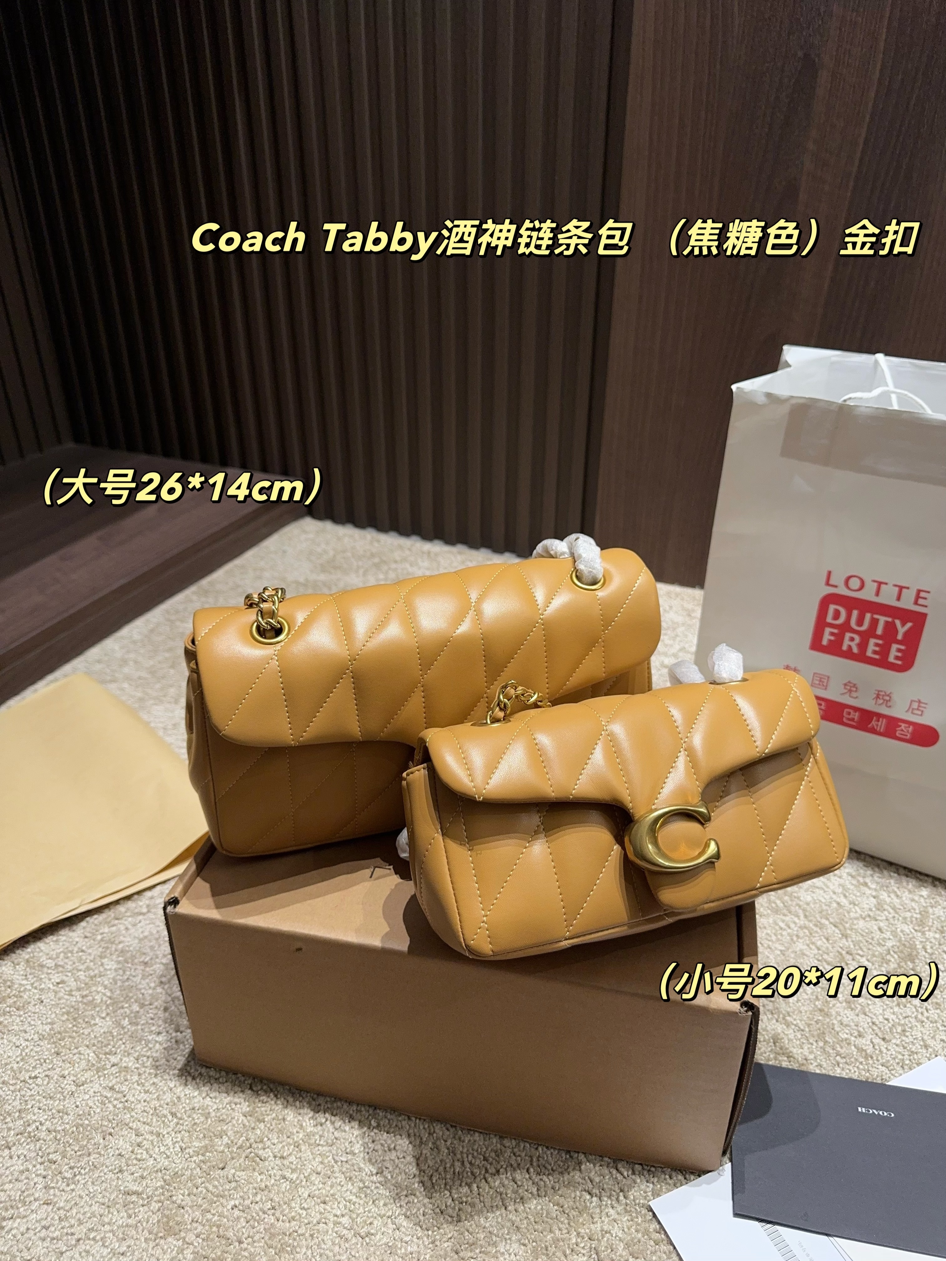 coach bag 185