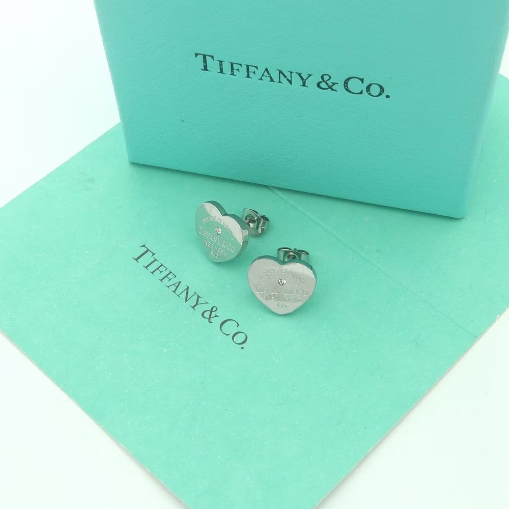 Tiffany Silver Logo-Accented Earrings 021