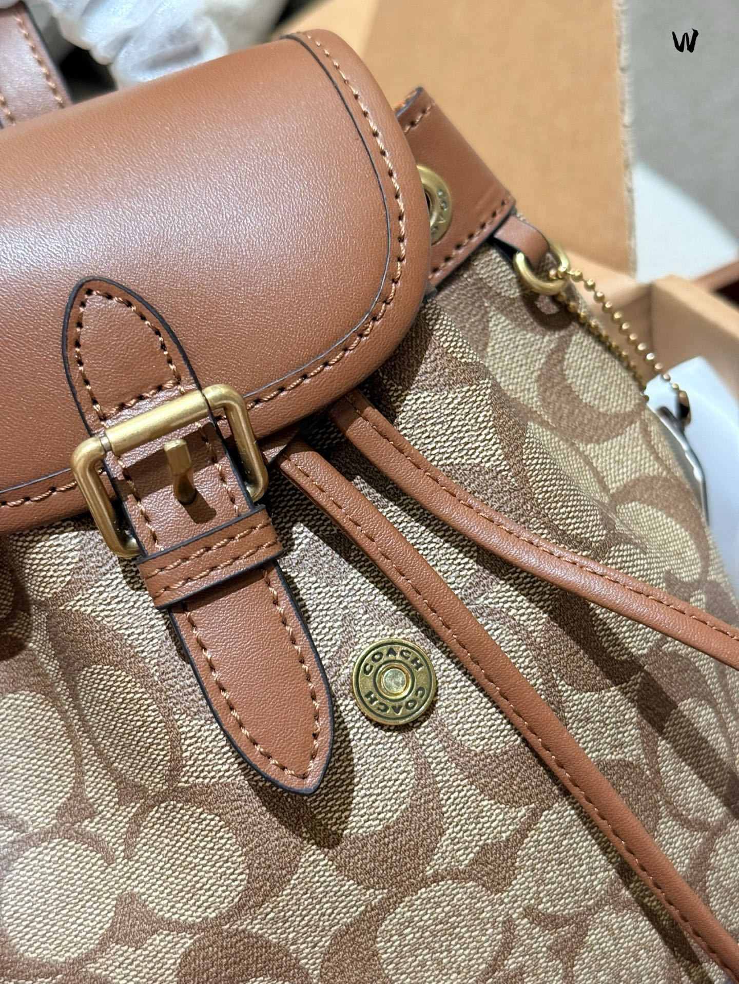 Coach Rose Gold Vintage-Inspired Bag 051