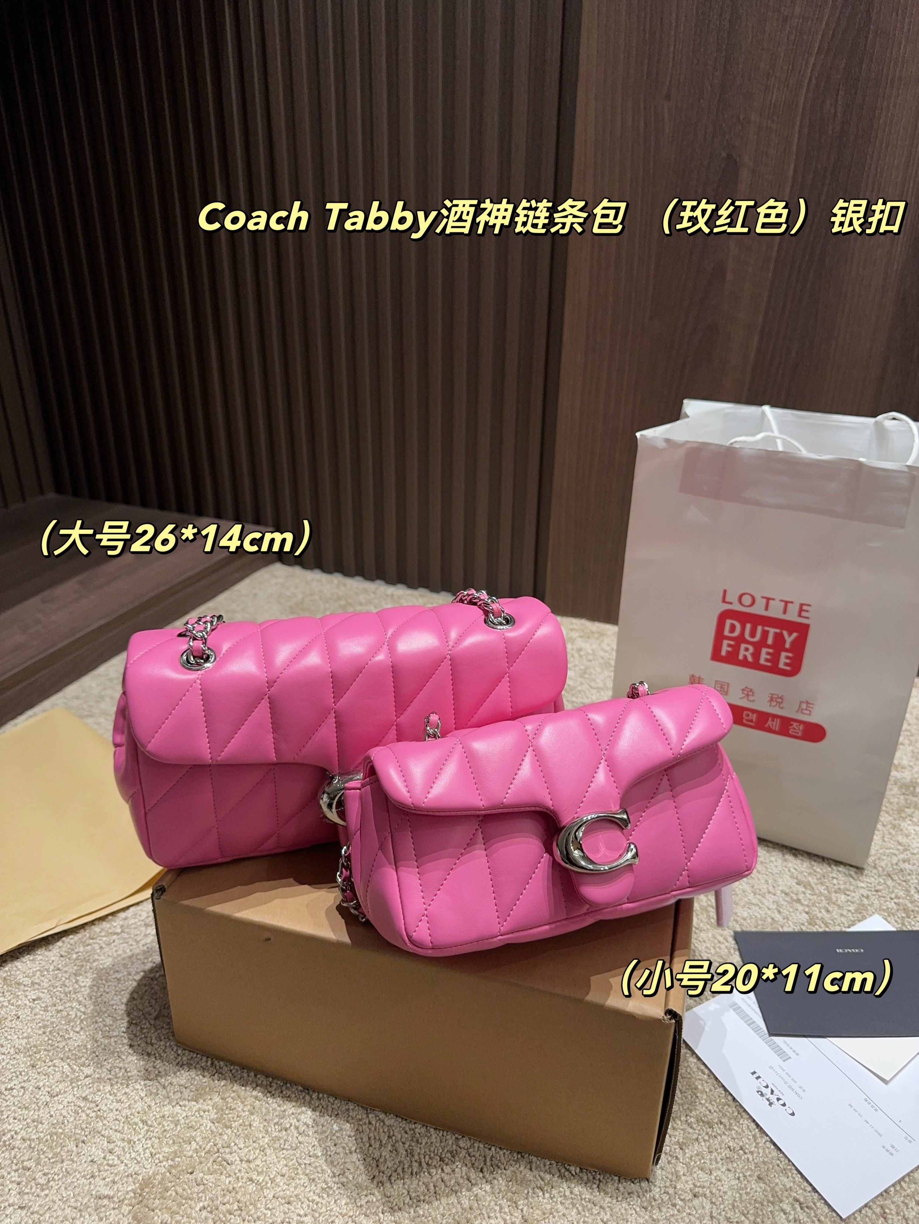coach bag 185