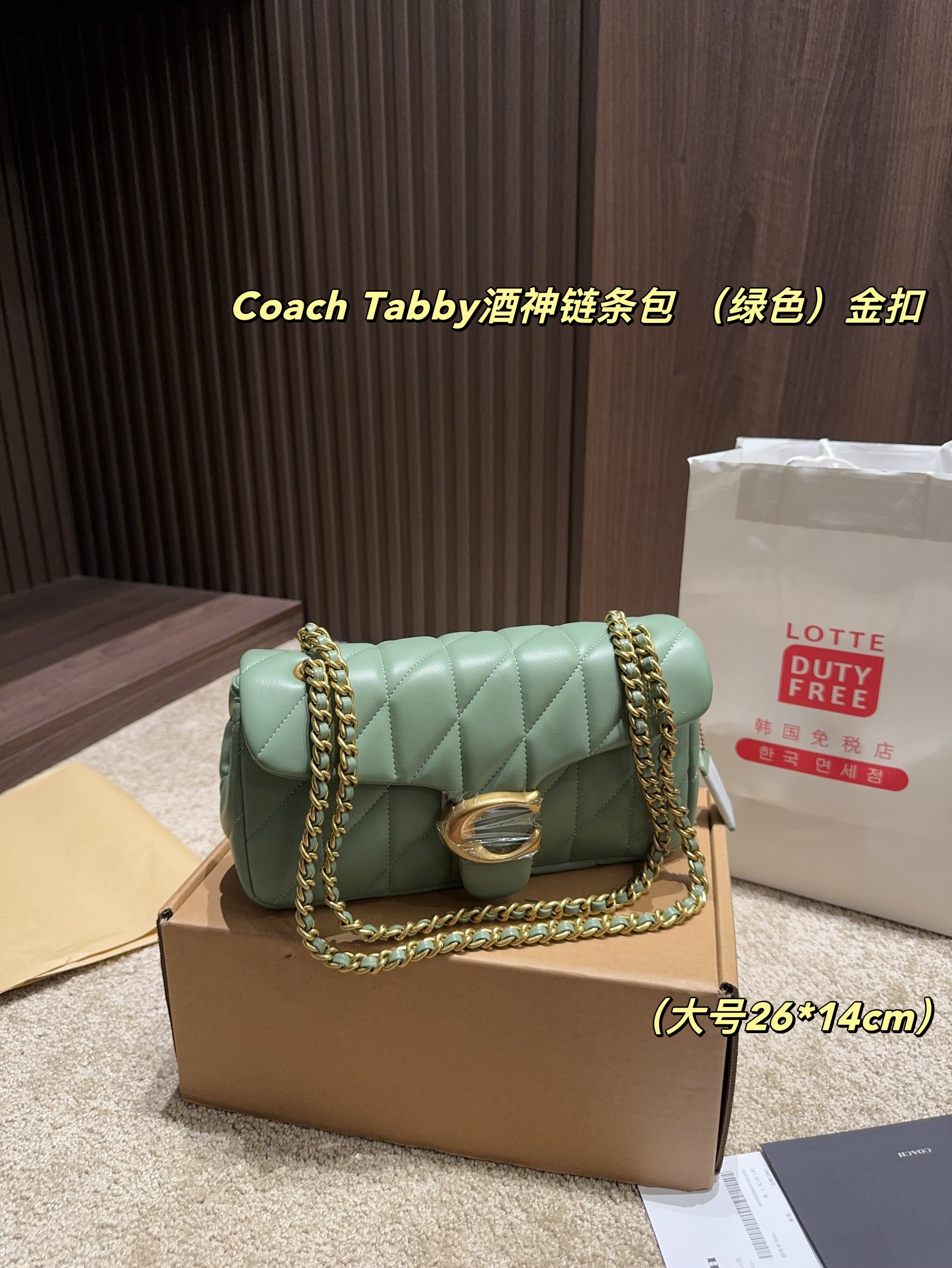 coach bag 185