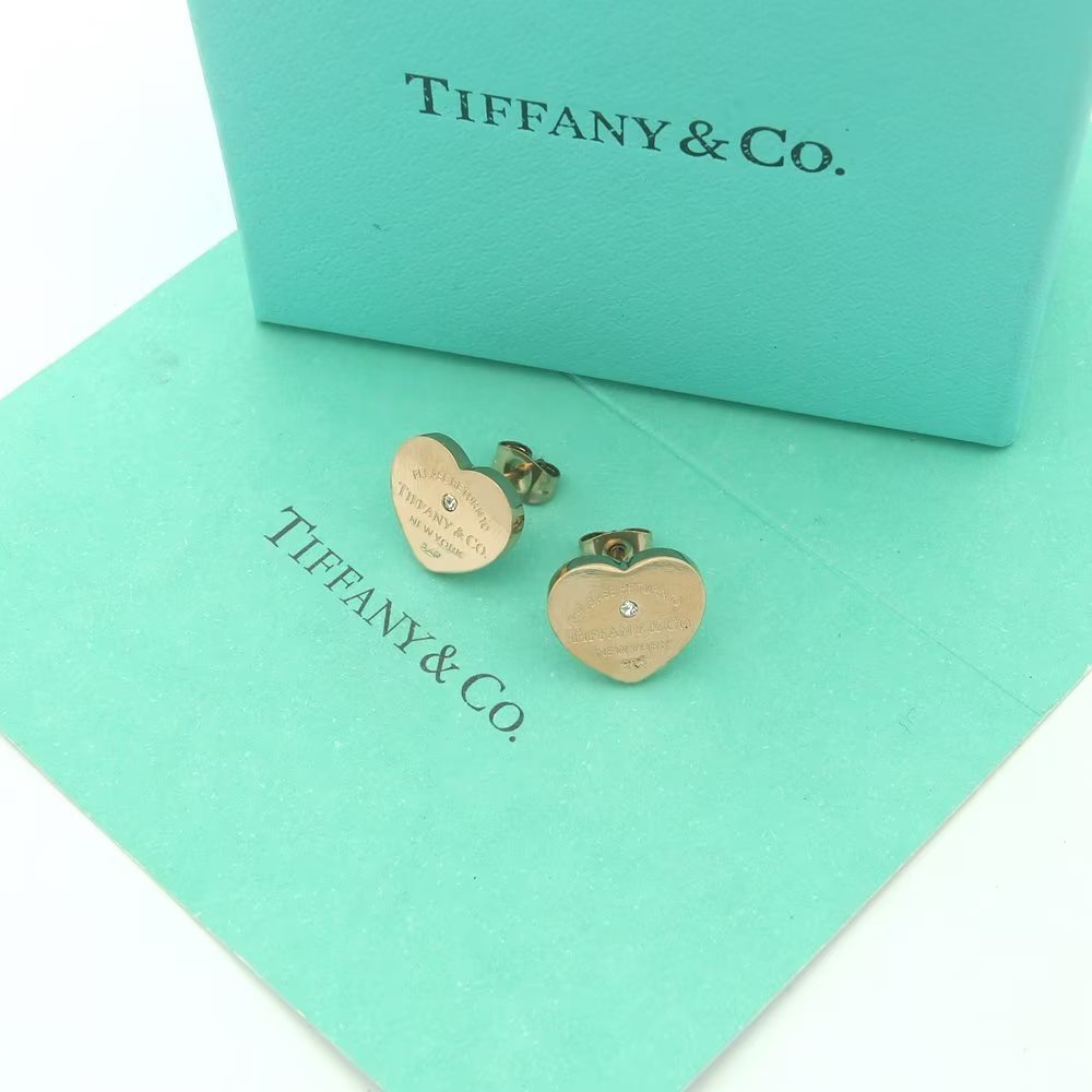 Tiffany Silver Logo-Accented Earrings 021