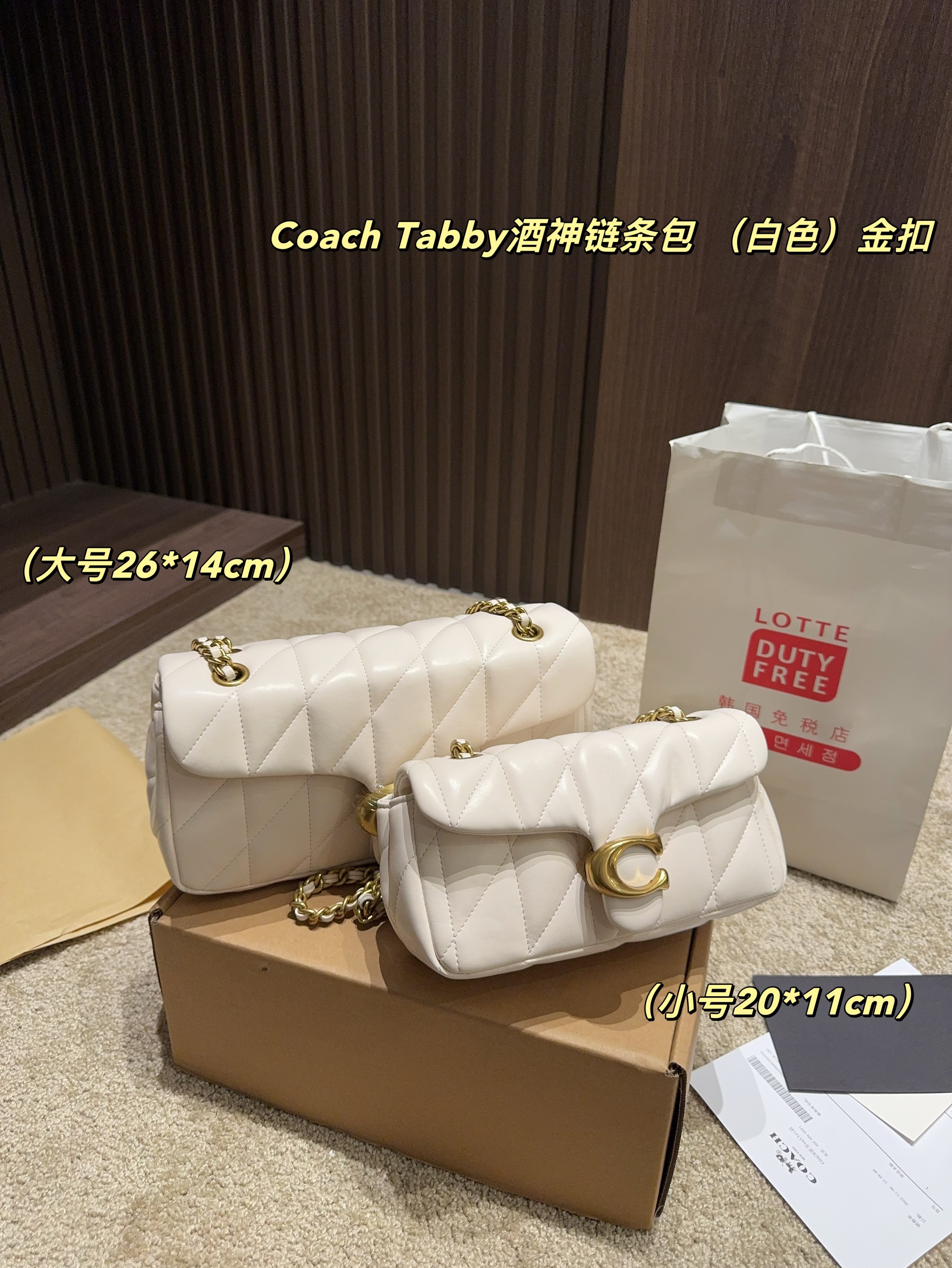 coach bag 185