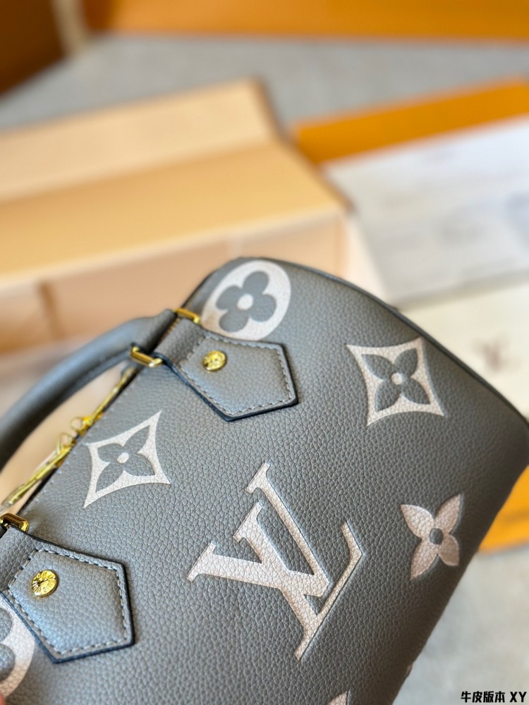 LV Bag Speedy leather Silver Logo-Accented Bag 20cm